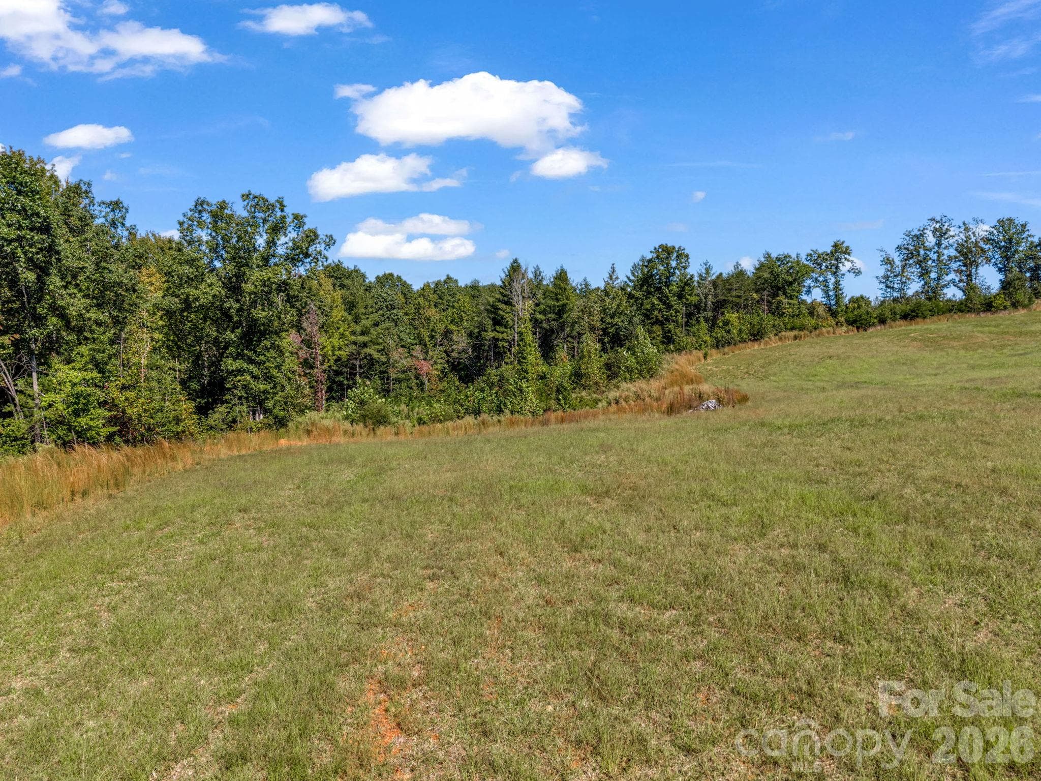 Acreage at 221, 219 McNeilly Road, Casar, photo 20 of 29