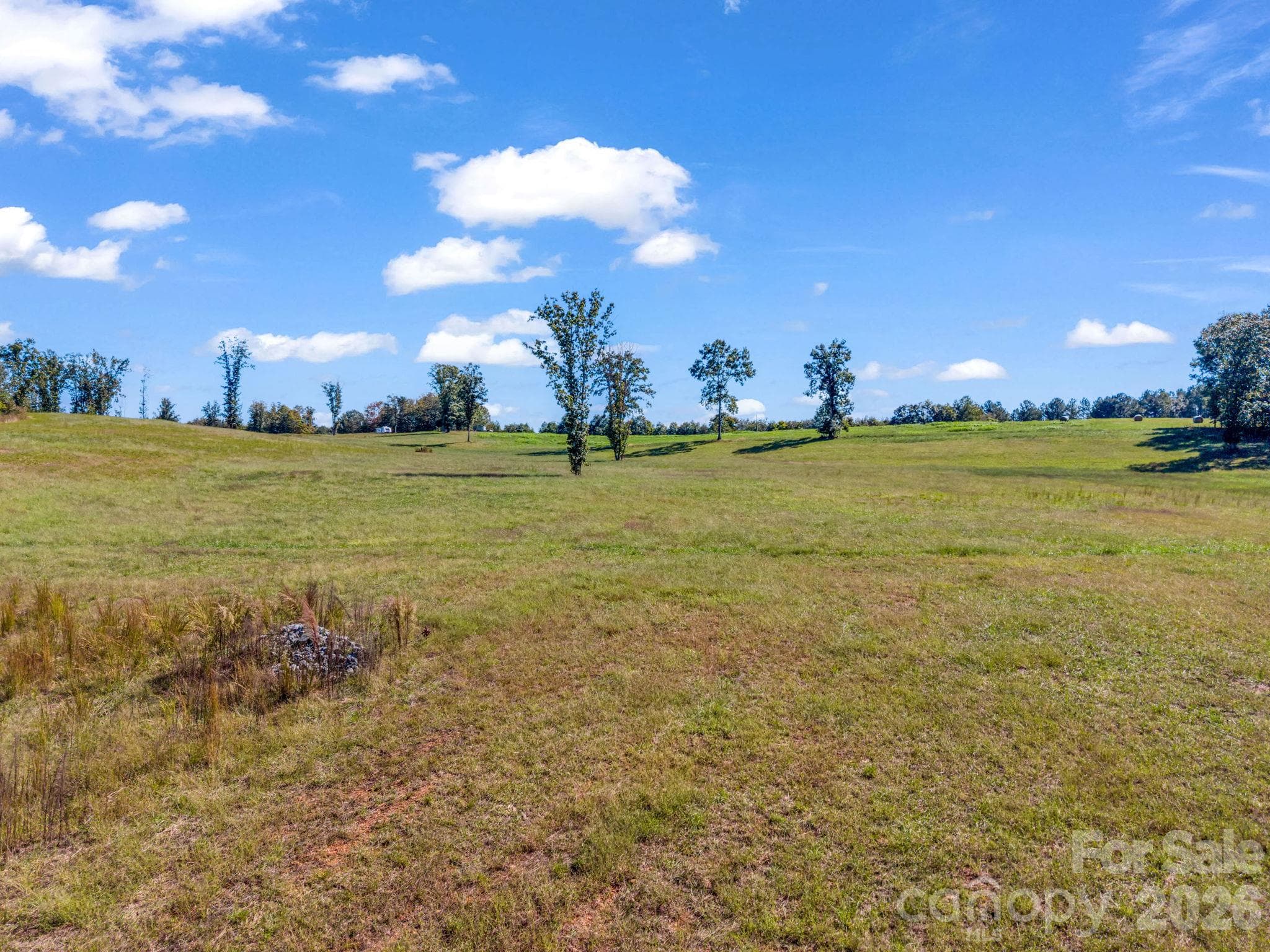 Acreage at 221, 219 McNeilly Road, Casar, photo 21 of 29