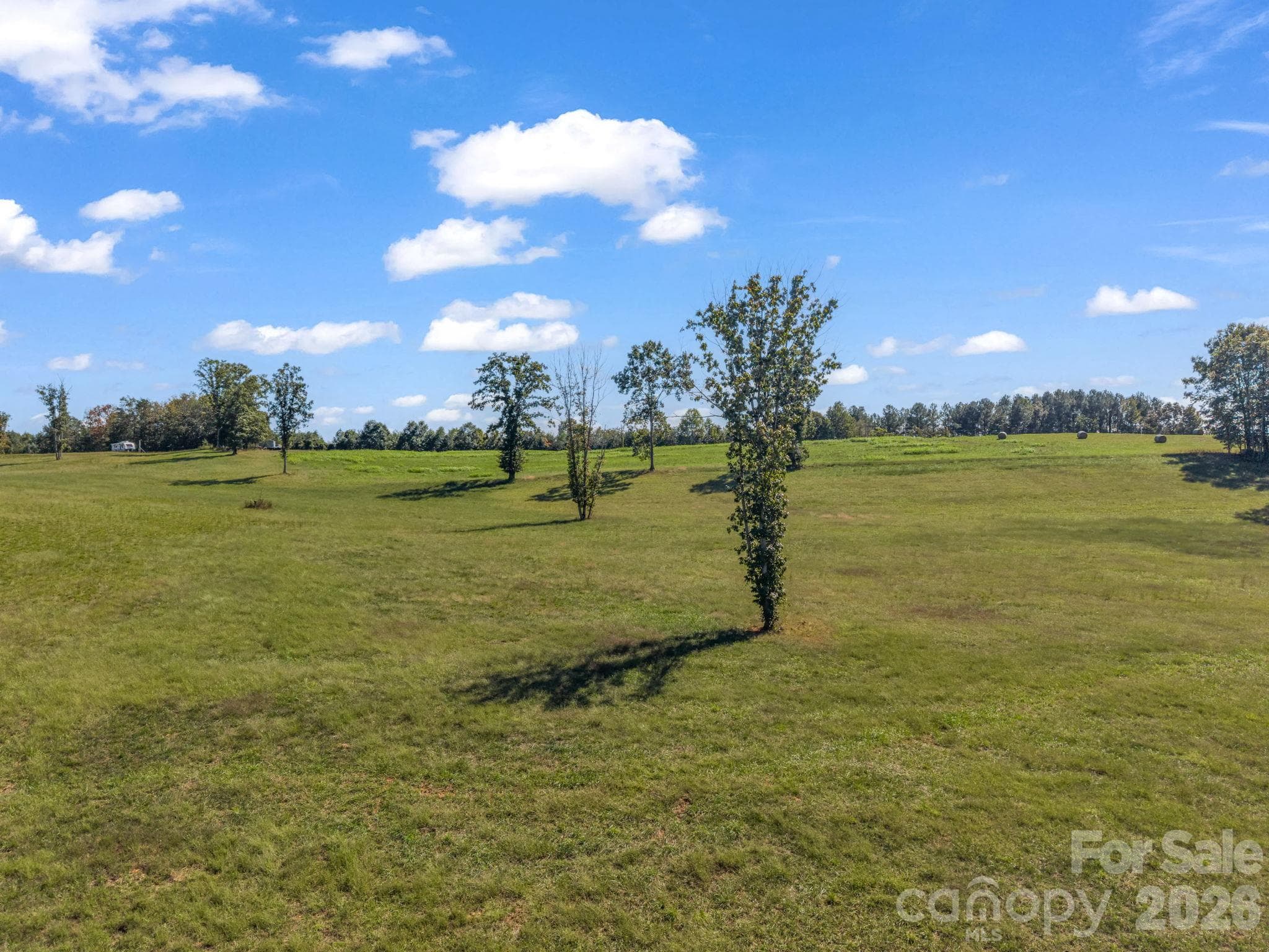Acreage at 221, 219 McNeilly Road, Casar, photo 22 of 29