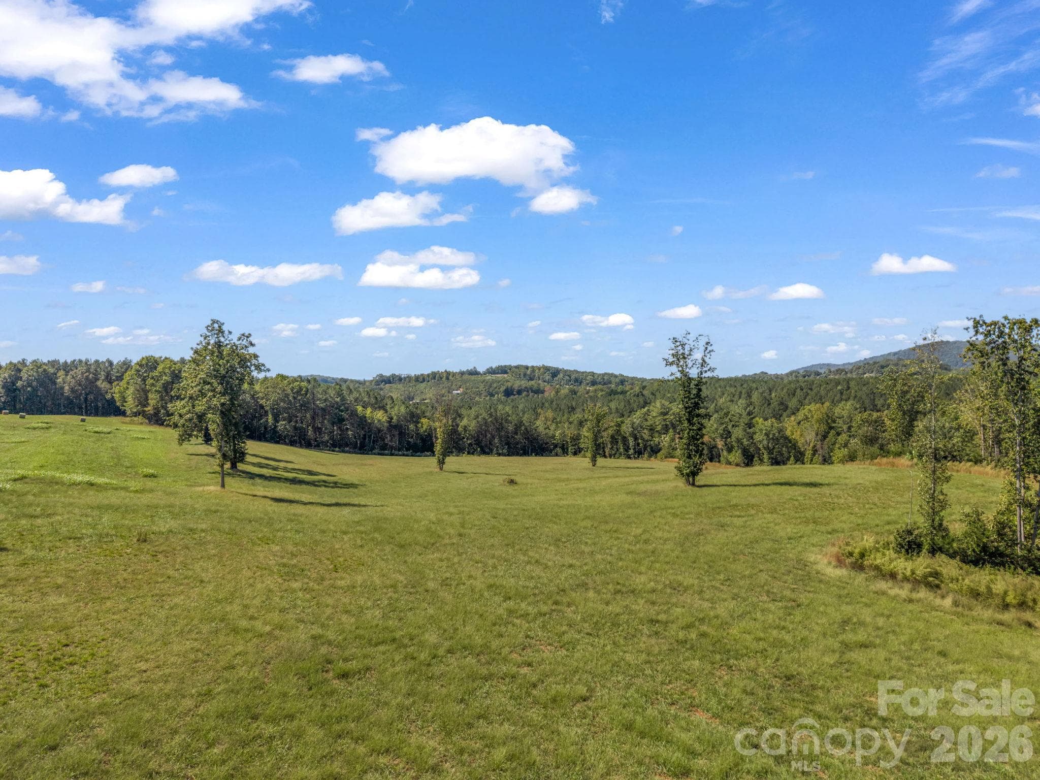 Acreage at 221, 219 McNeilly Road, Casar, photo 23 of 29