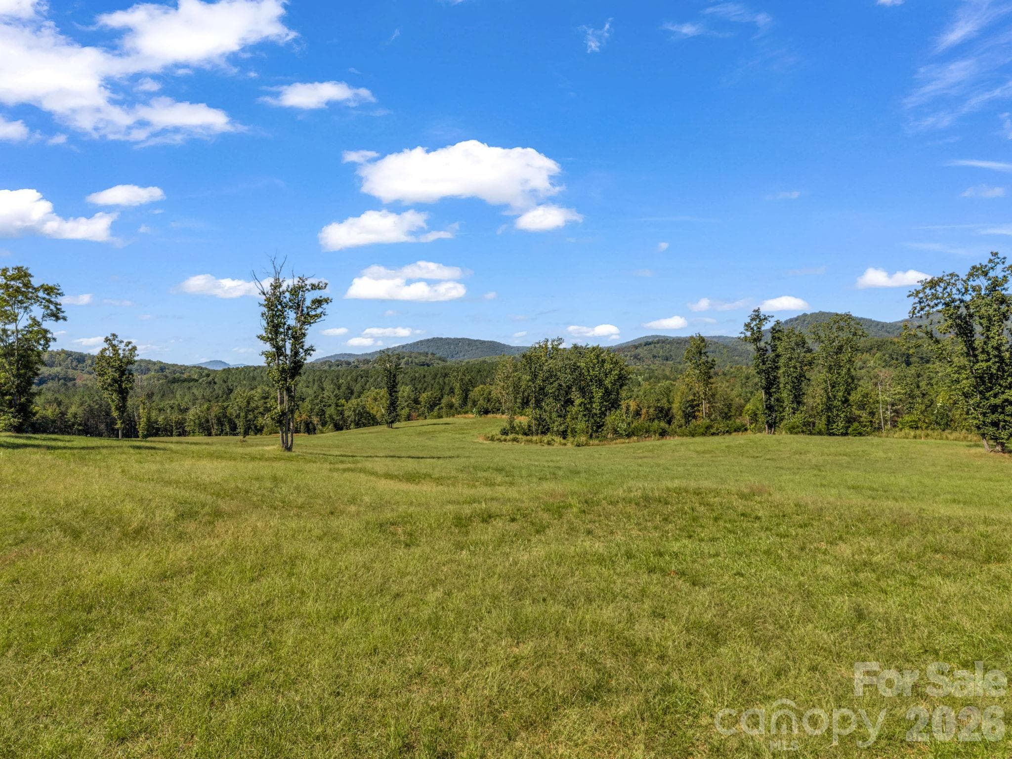 Acreage at 221, 219 McNeilly Road, Casar, photo 24 of 29
