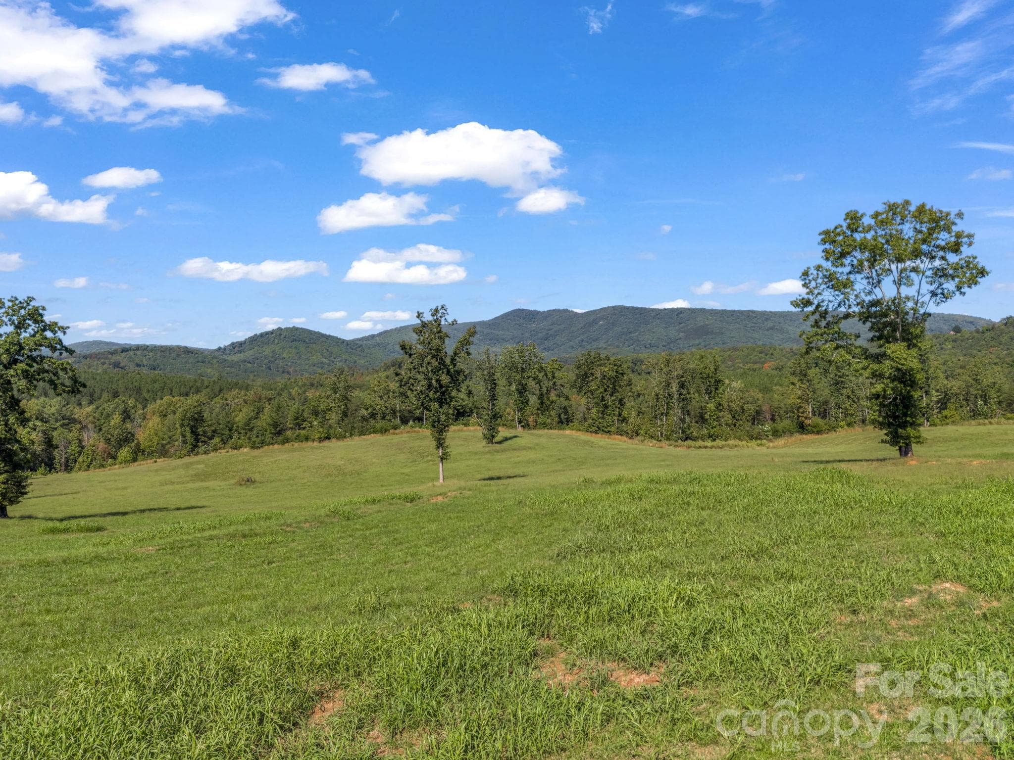 Acreage at 221, 219 McNeilly Road, Casar, photo 26 of 29