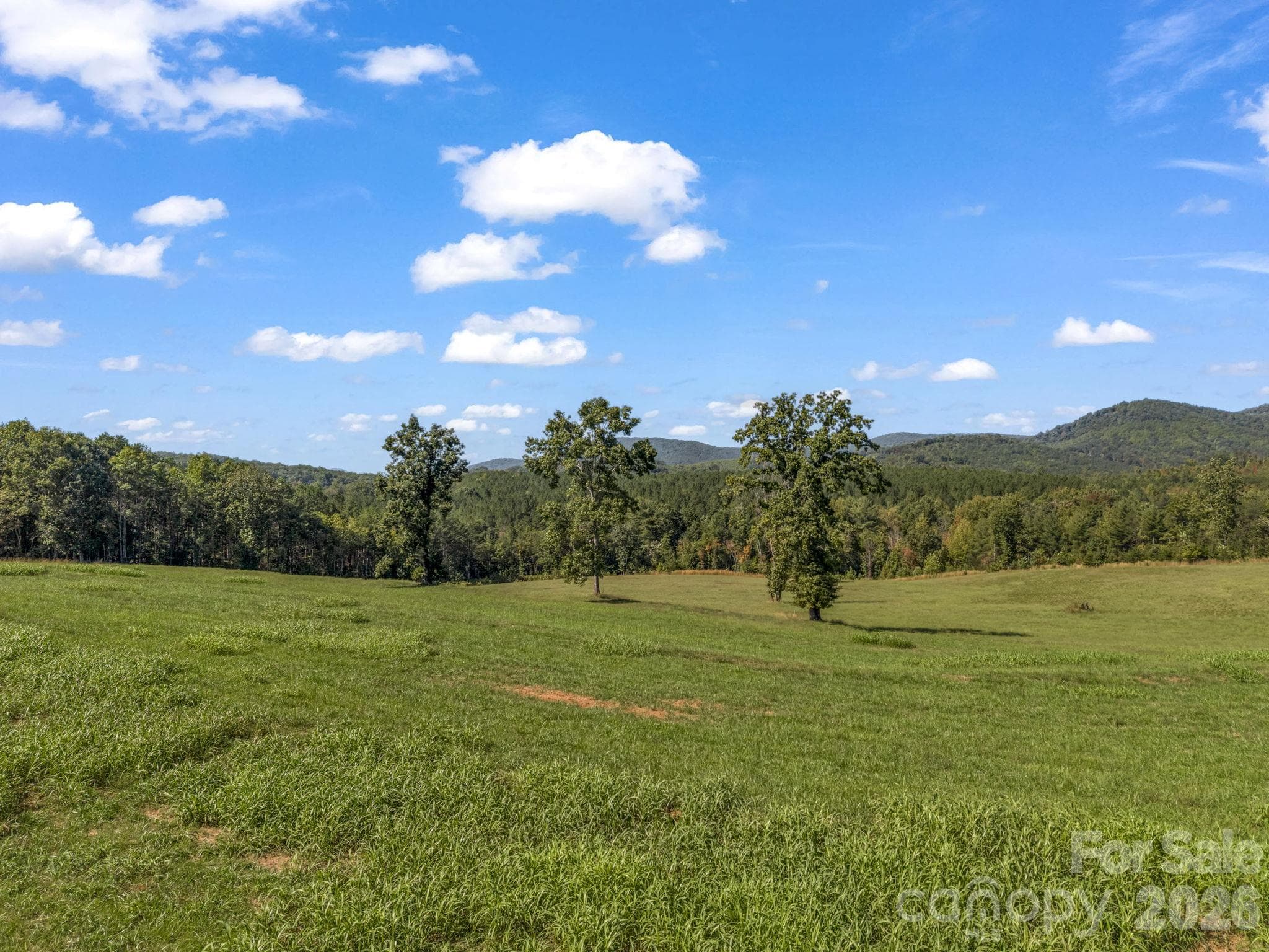 Acreage at 221, 219 McNeilly Road, Casar, photo 27 of 29