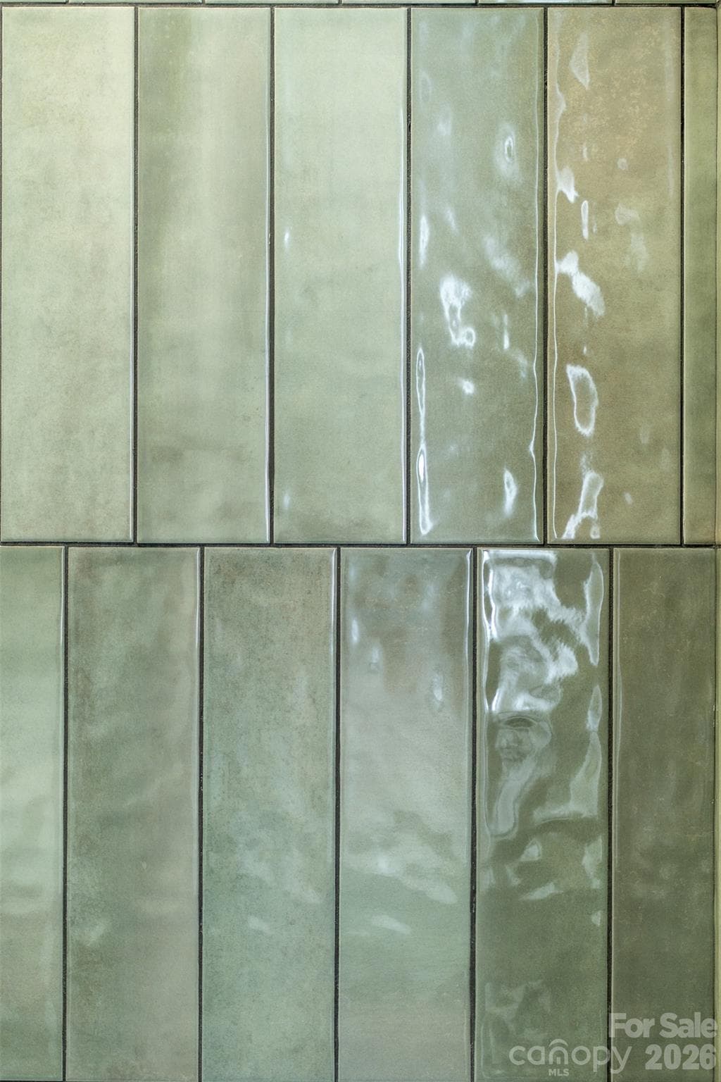 Lovely ceramic bathroom tile. - 6 Roberts Street, Asheville