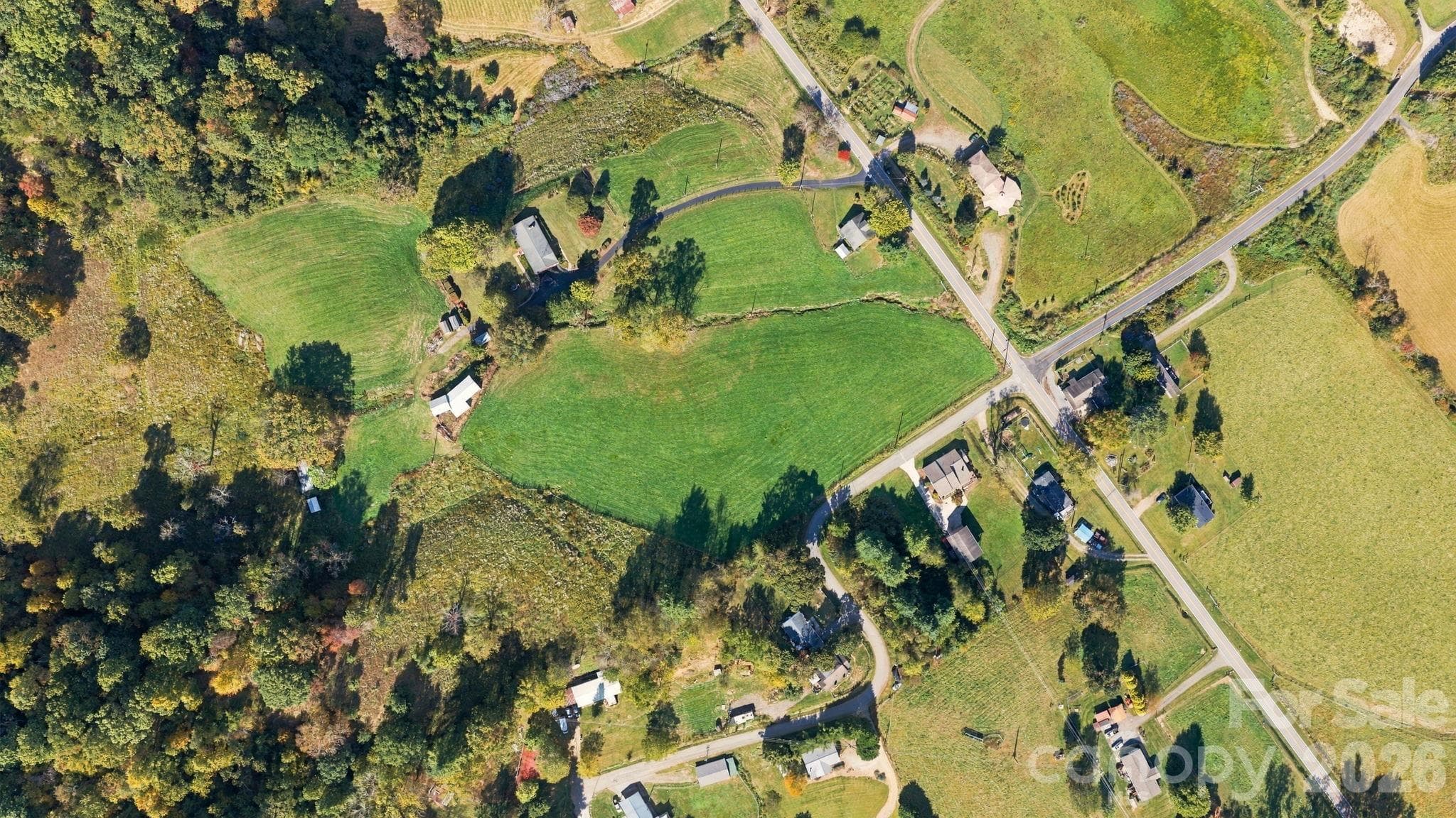 Acreage at 000 Beaverdam Road, Canton, photo 5 of 13