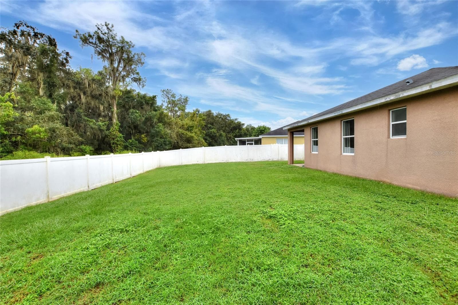 Huge backyard - 2729 WALDEN WOODS DR, PLANT CITY