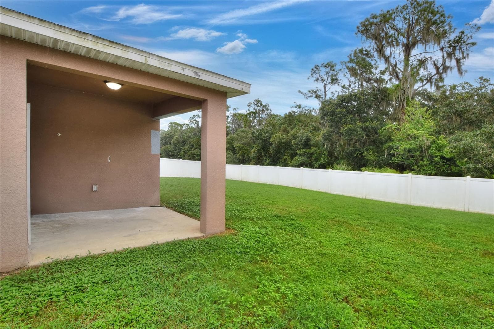 Back yard - 2729 WALDEN WOODS DR, PLANT CITY