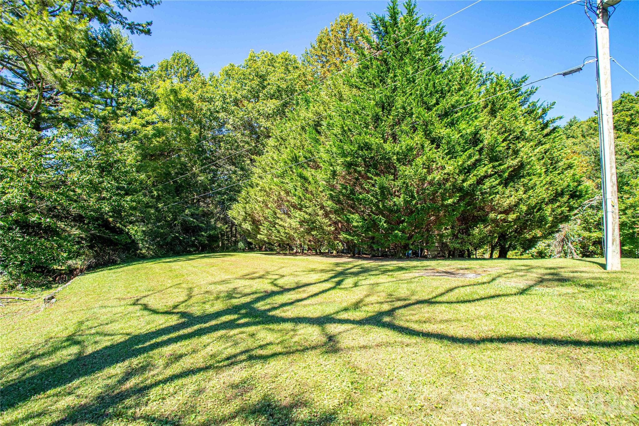 front yard - 2586 Kim Miller Road, Lake Toxaway