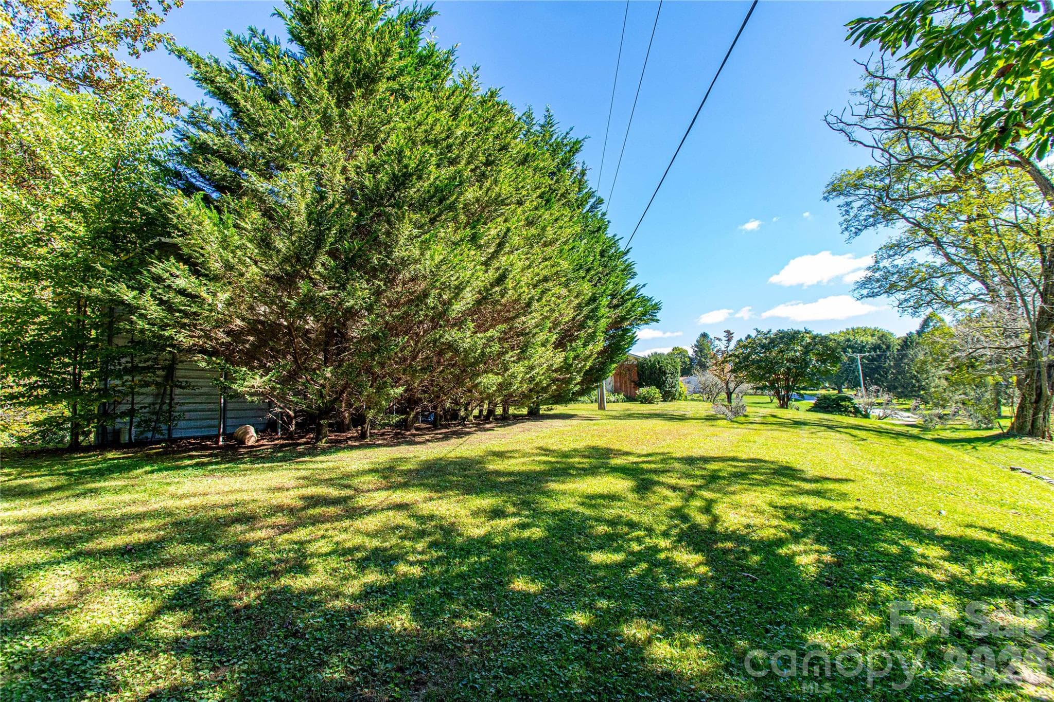side yard - 2586 Kim Miller Road, Lake Toxaway