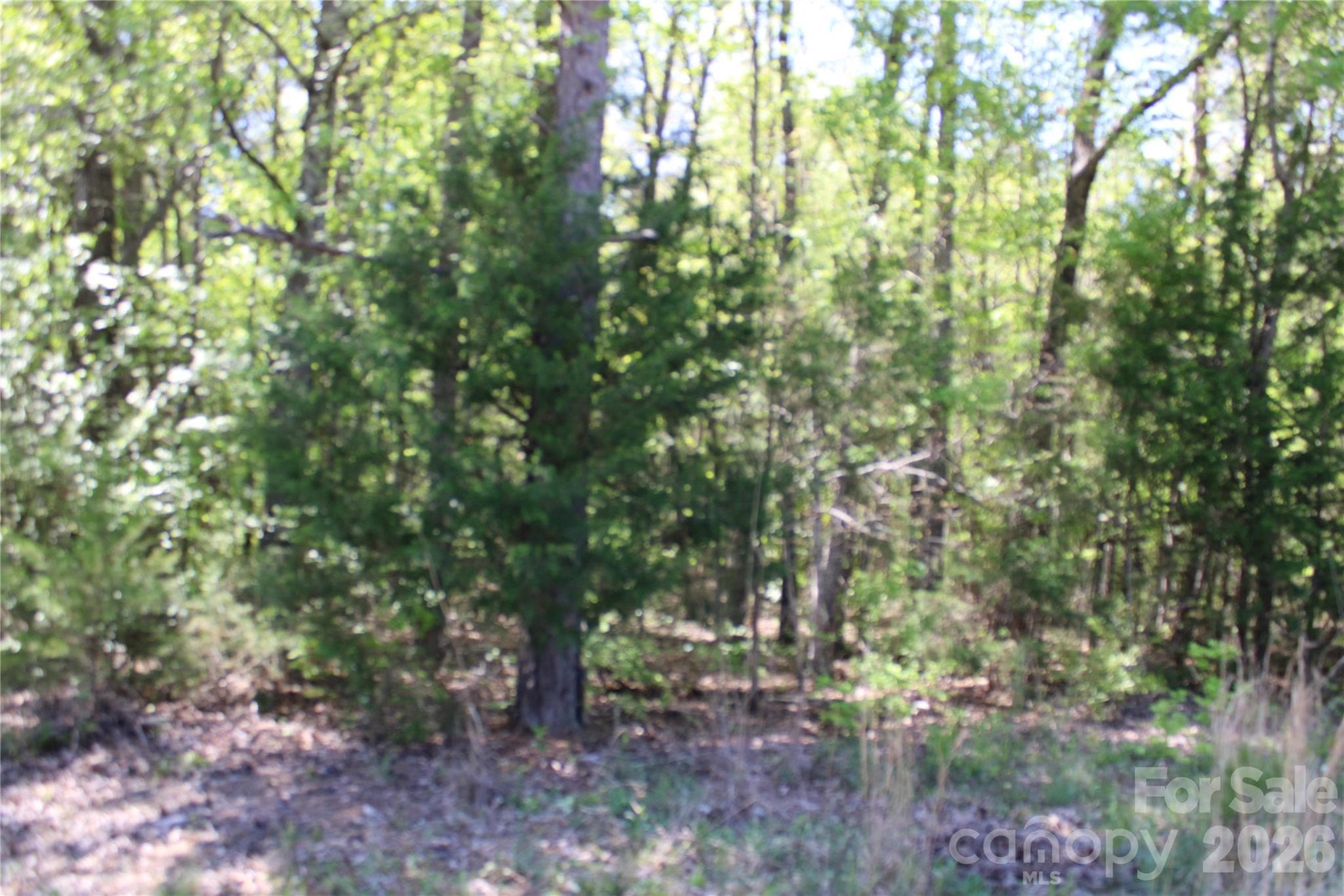 Acreage at 5264 Battleground Road, Kings Mountain, photo 8 of 16