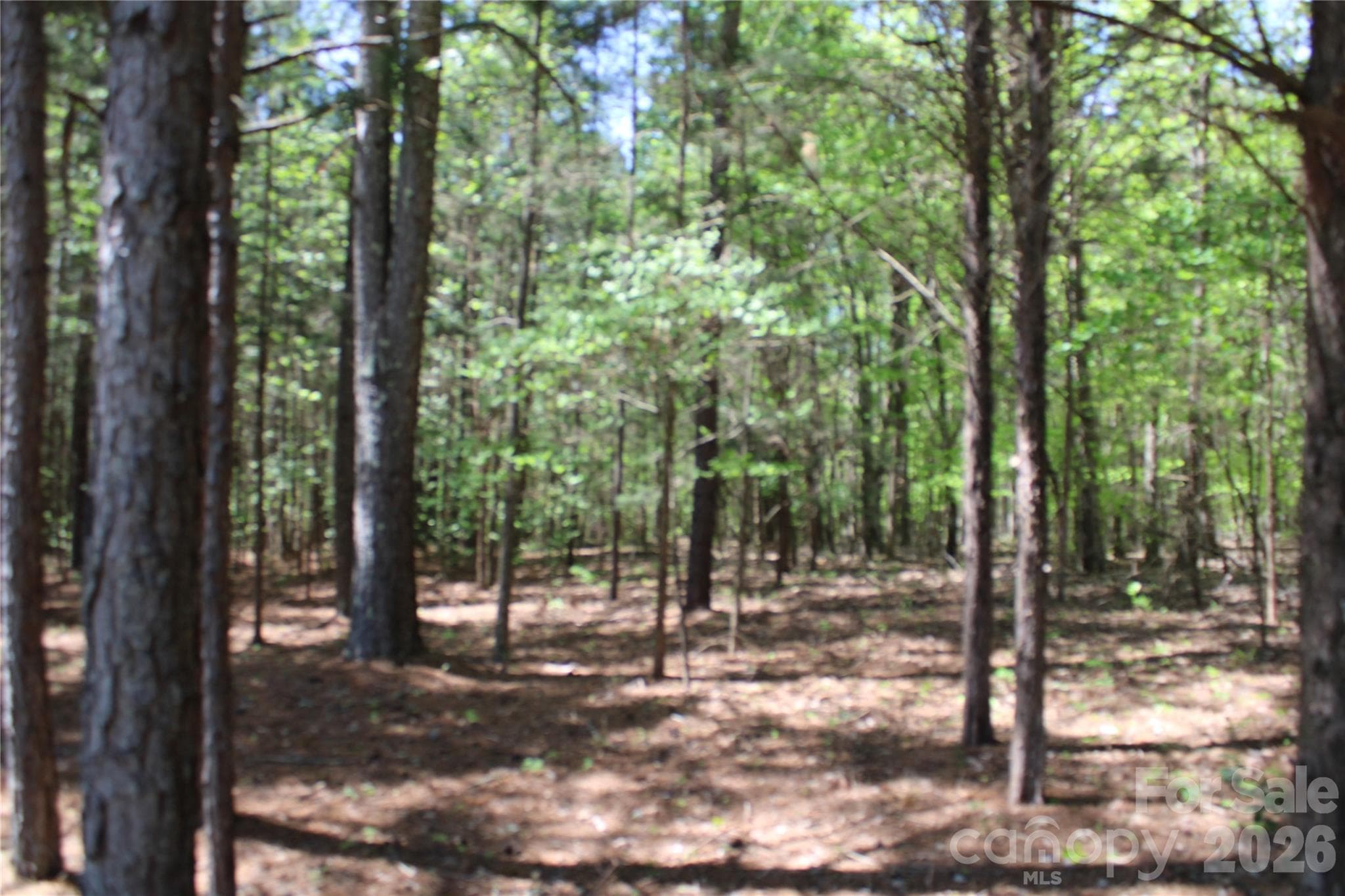 Acreage at 5264 Battleground Road, Kings Mountain, photo 9 of 16