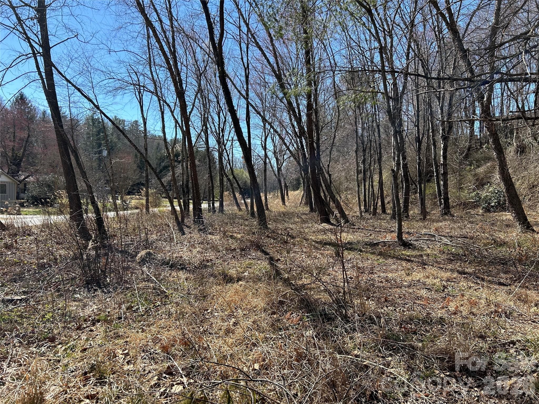 Unimproved Commercial at Hendersonville, photo 8 of 42