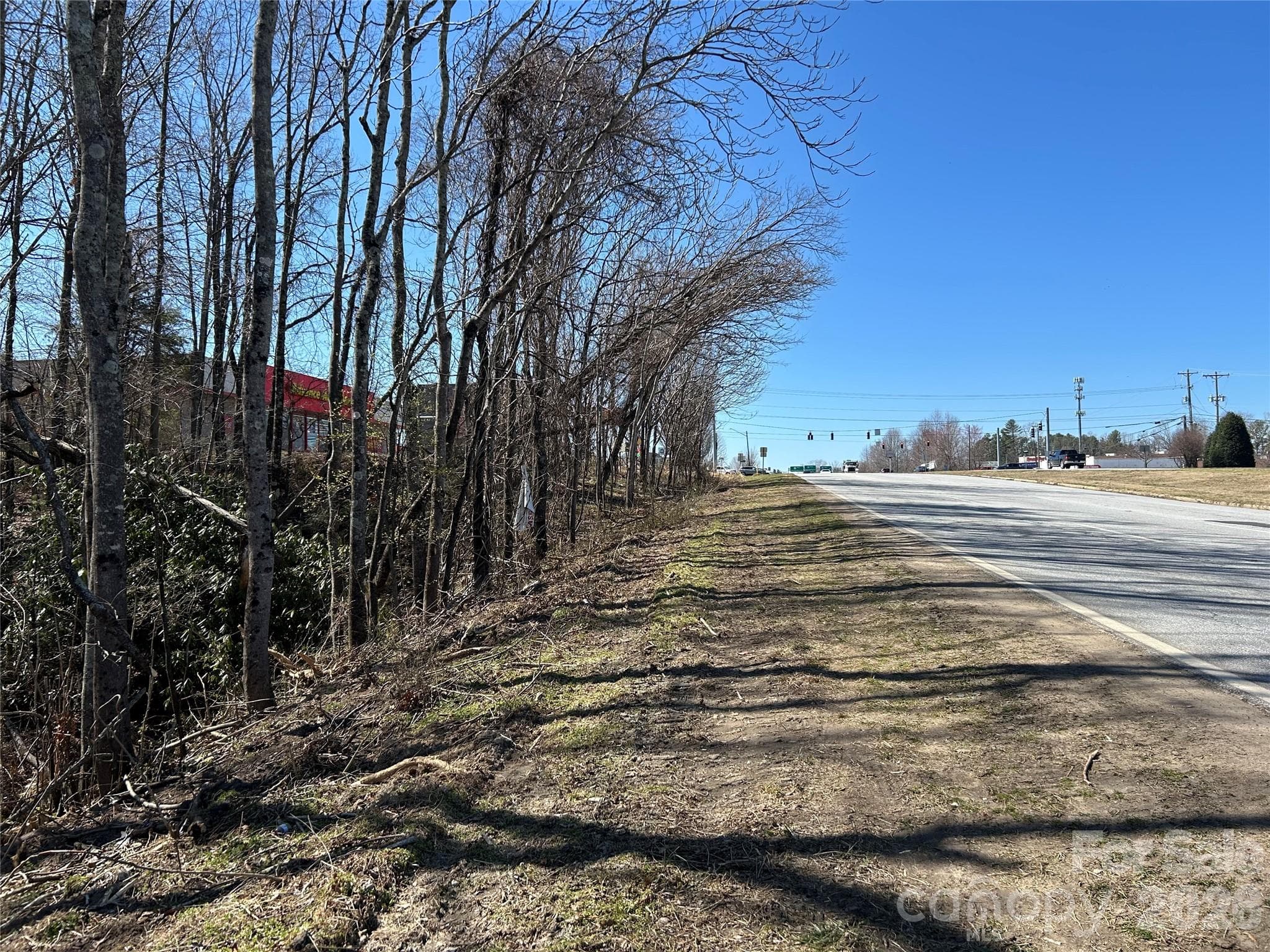 Unimproved Commercial at Hendersonville, photo 10 of 42