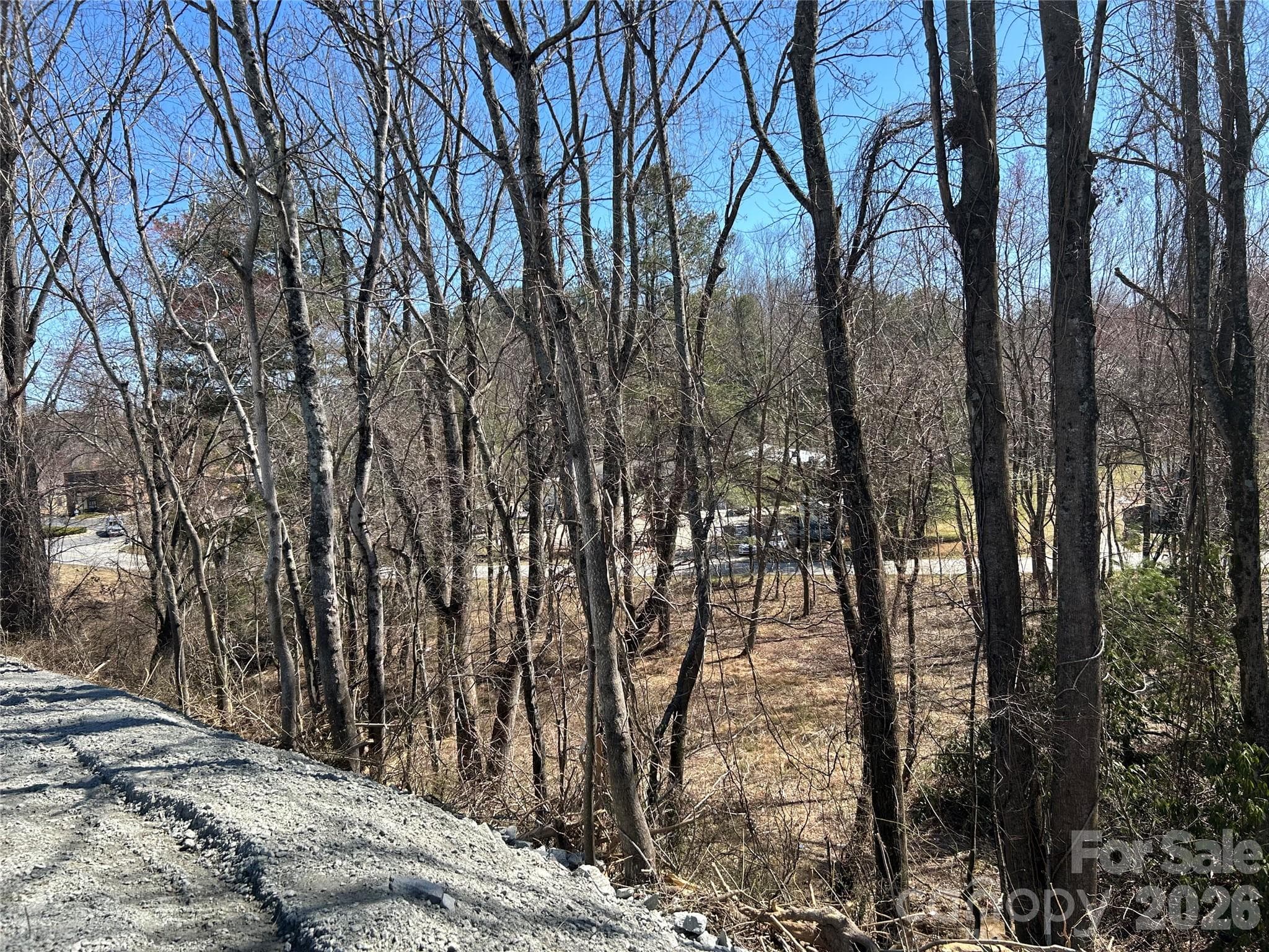 Unimproved Commercial at Hendersonville, photo 14 of 42