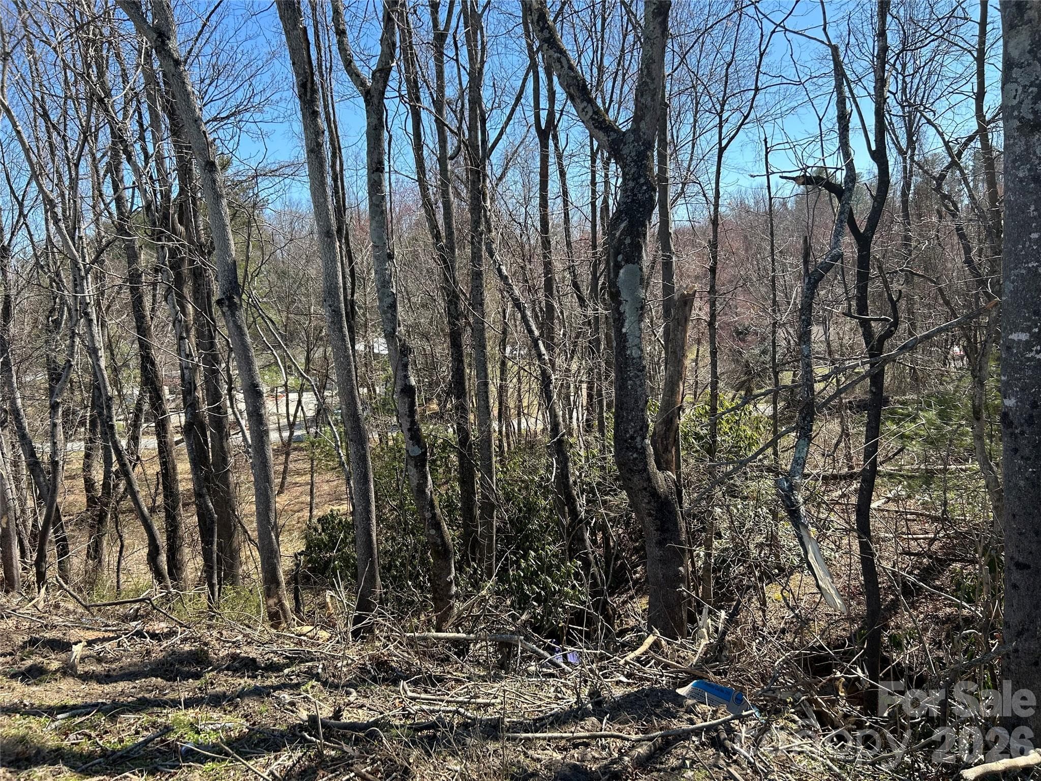 Unimproved Commercial at Hendersonville, photo 16 of 42