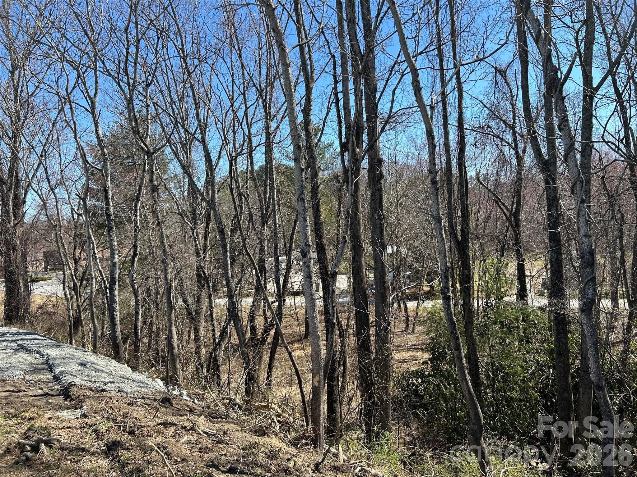Unimproved Commercial at Hendersonville, photo 20 of 42