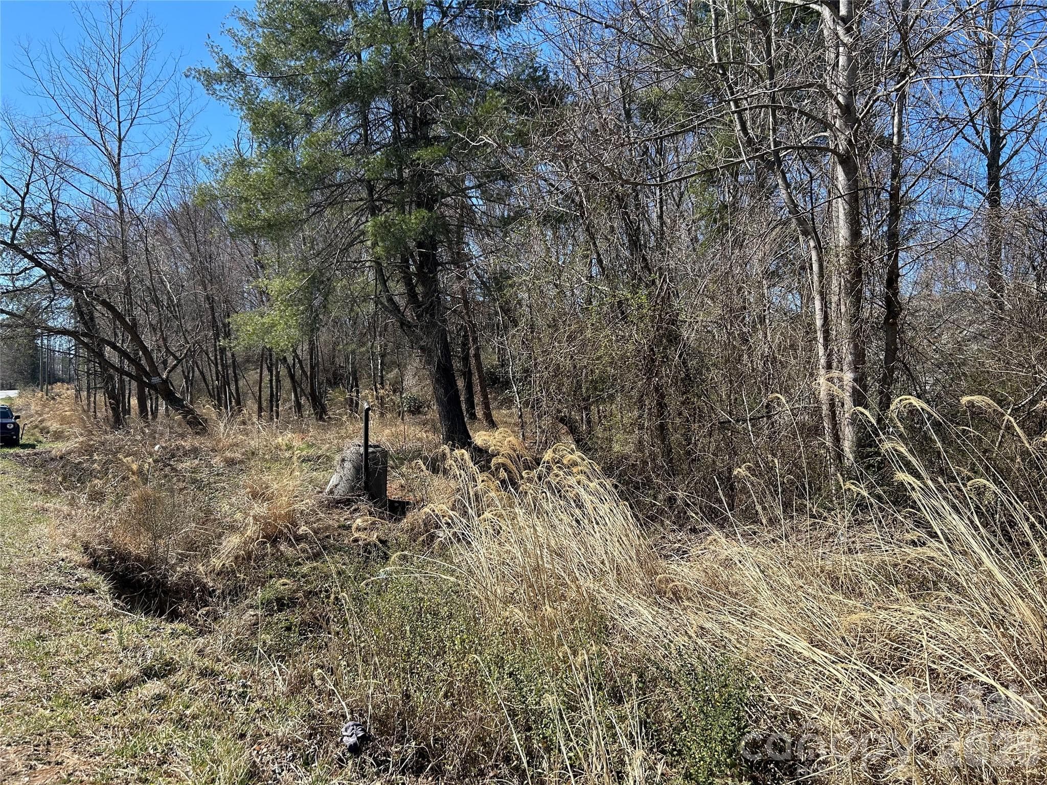 Unimproved Commercial at Hendersonville, photo 28 of 42