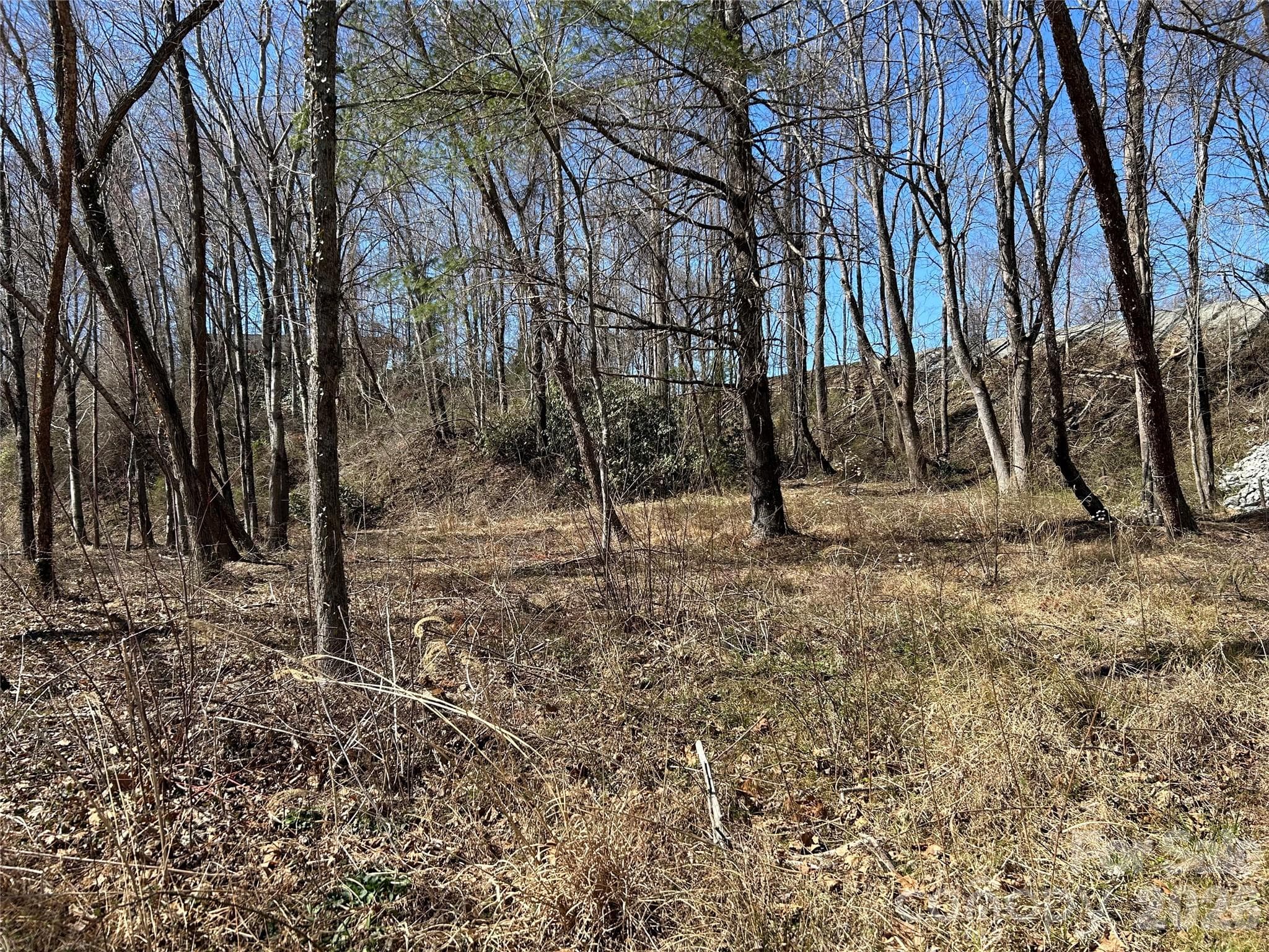 Unimproved Commercial at Hendersonville, photo 38 of 42