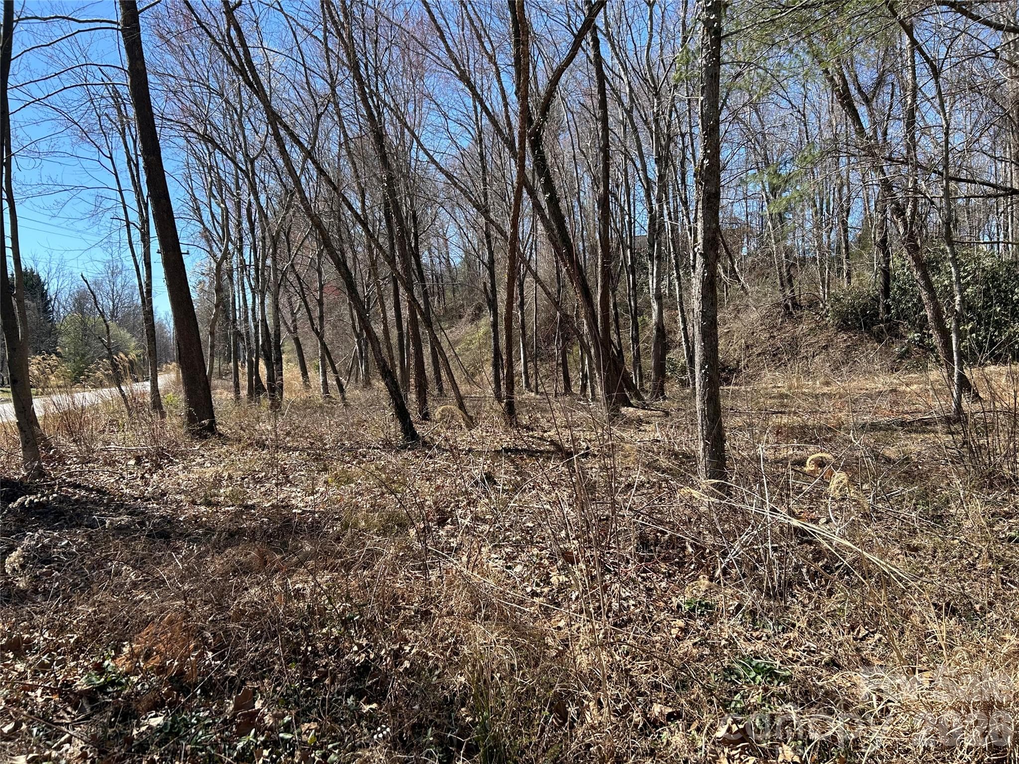 Unimproved Commercial at Hendersonville, photo 40 of 42