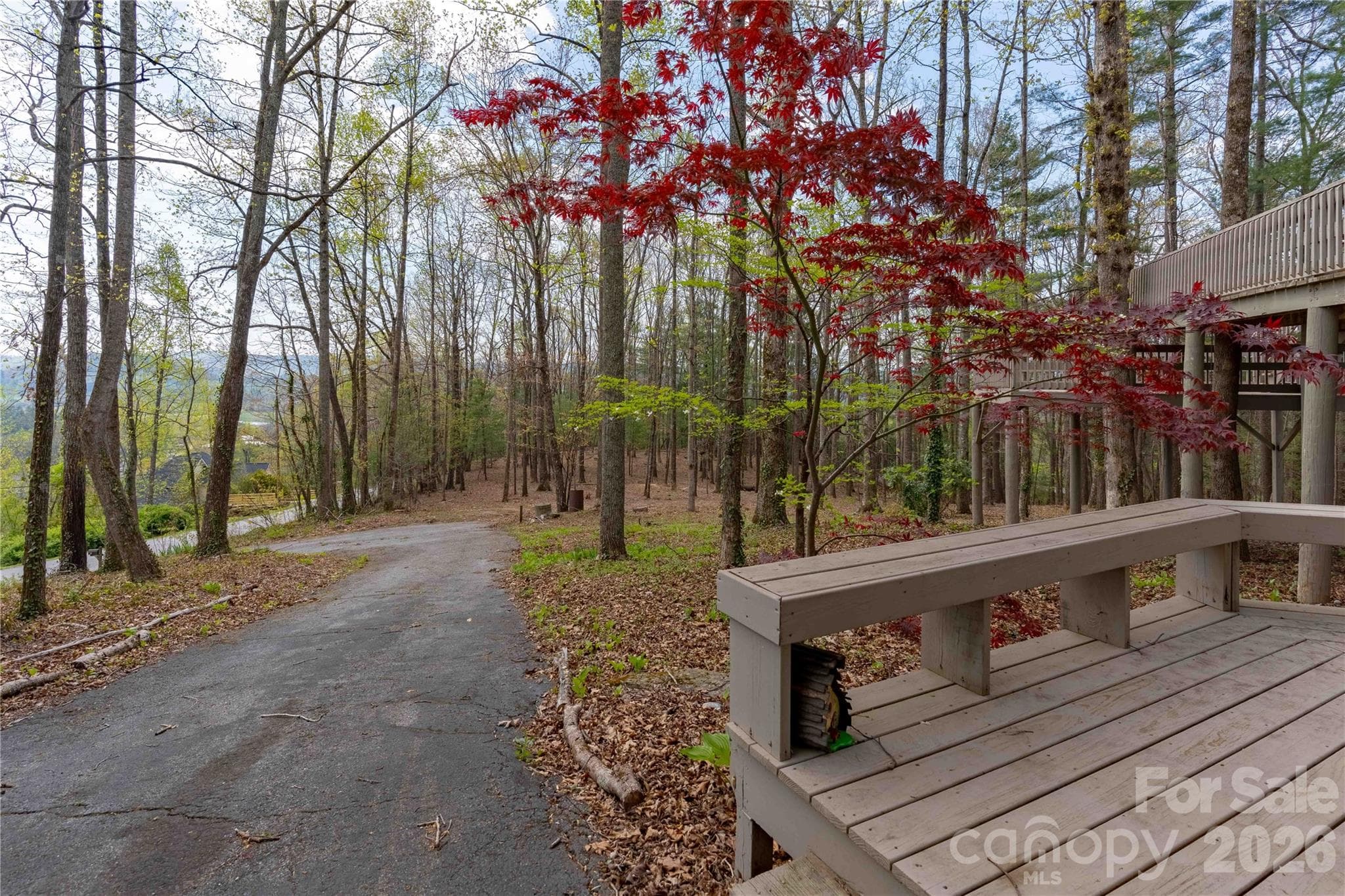 Southerly paved drive/entrance. - 39 Tatham Road, Hendersonville