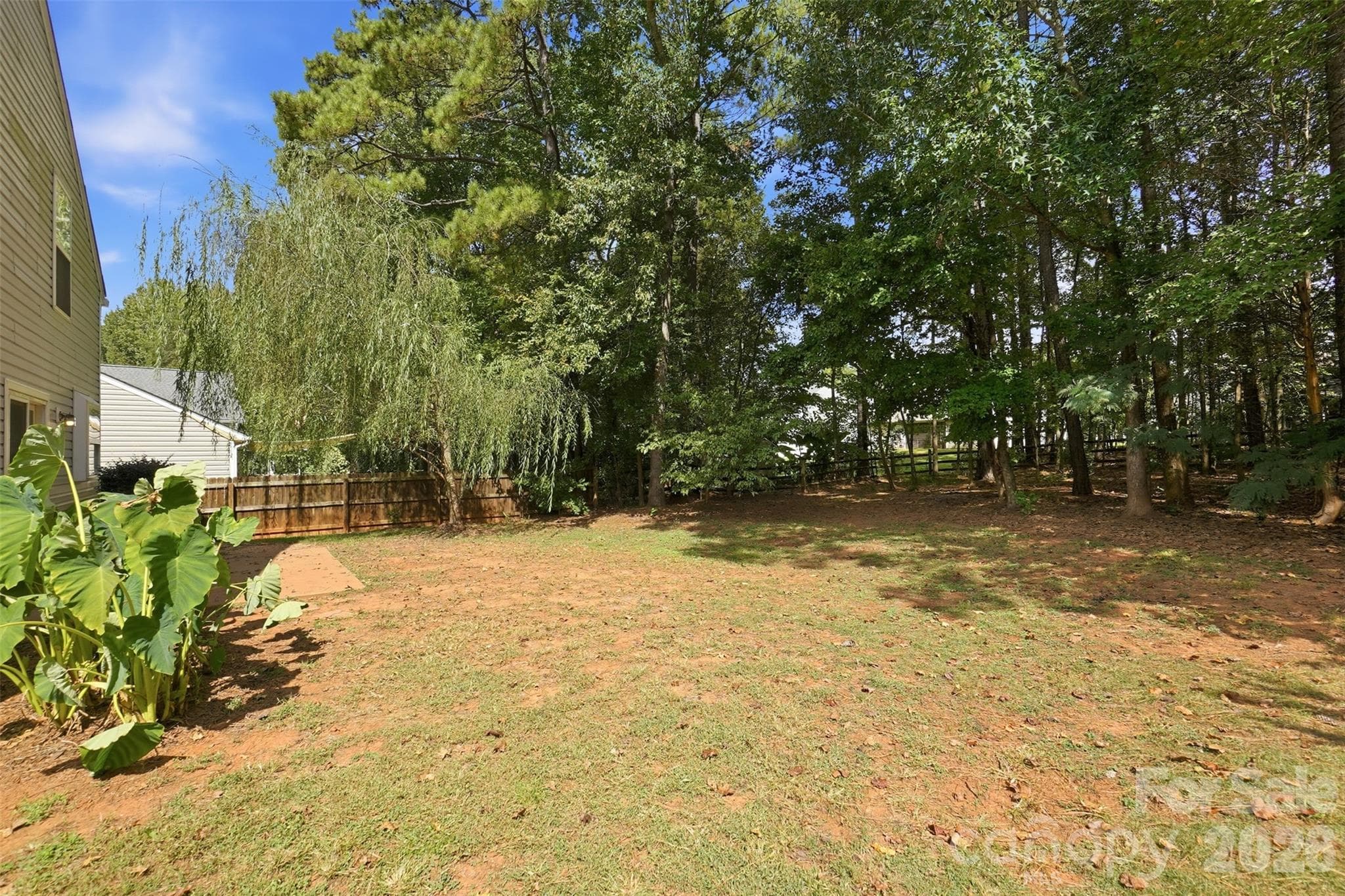 Private back yard - 1619 Eagle Lake Drive, Indian Land