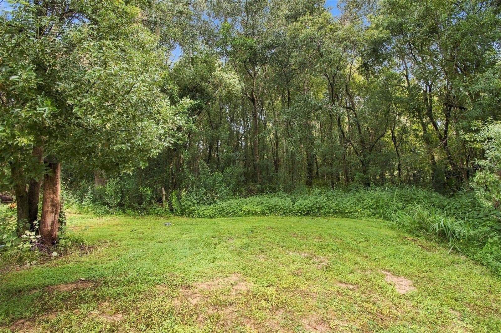 Land at 30251 SUNSET LN, WESLEY CHAPEL, photo 4 of 22