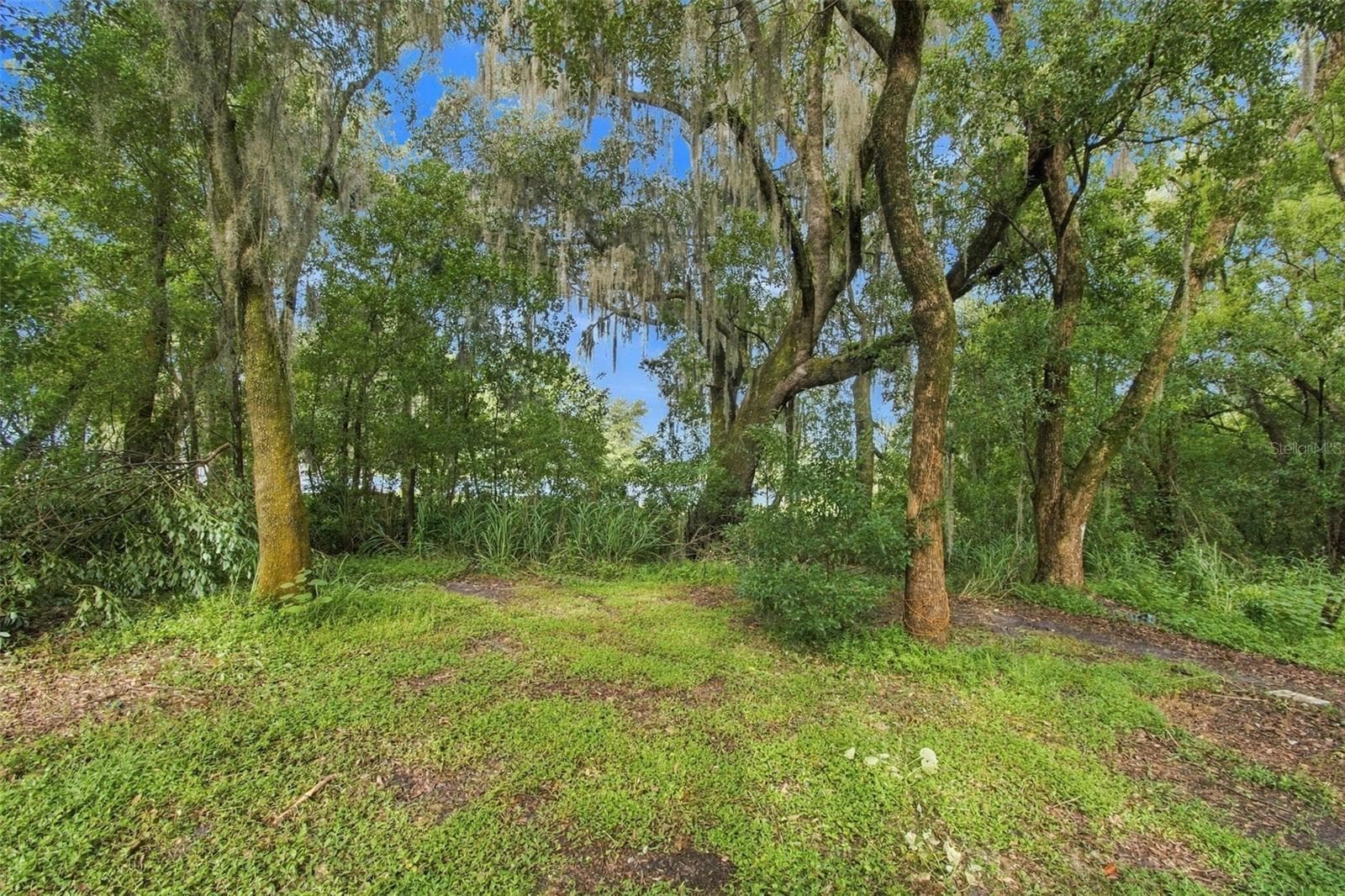 Land at 30251 SUNSET LN, WESLEY CHAPEL, photo 5 of 22