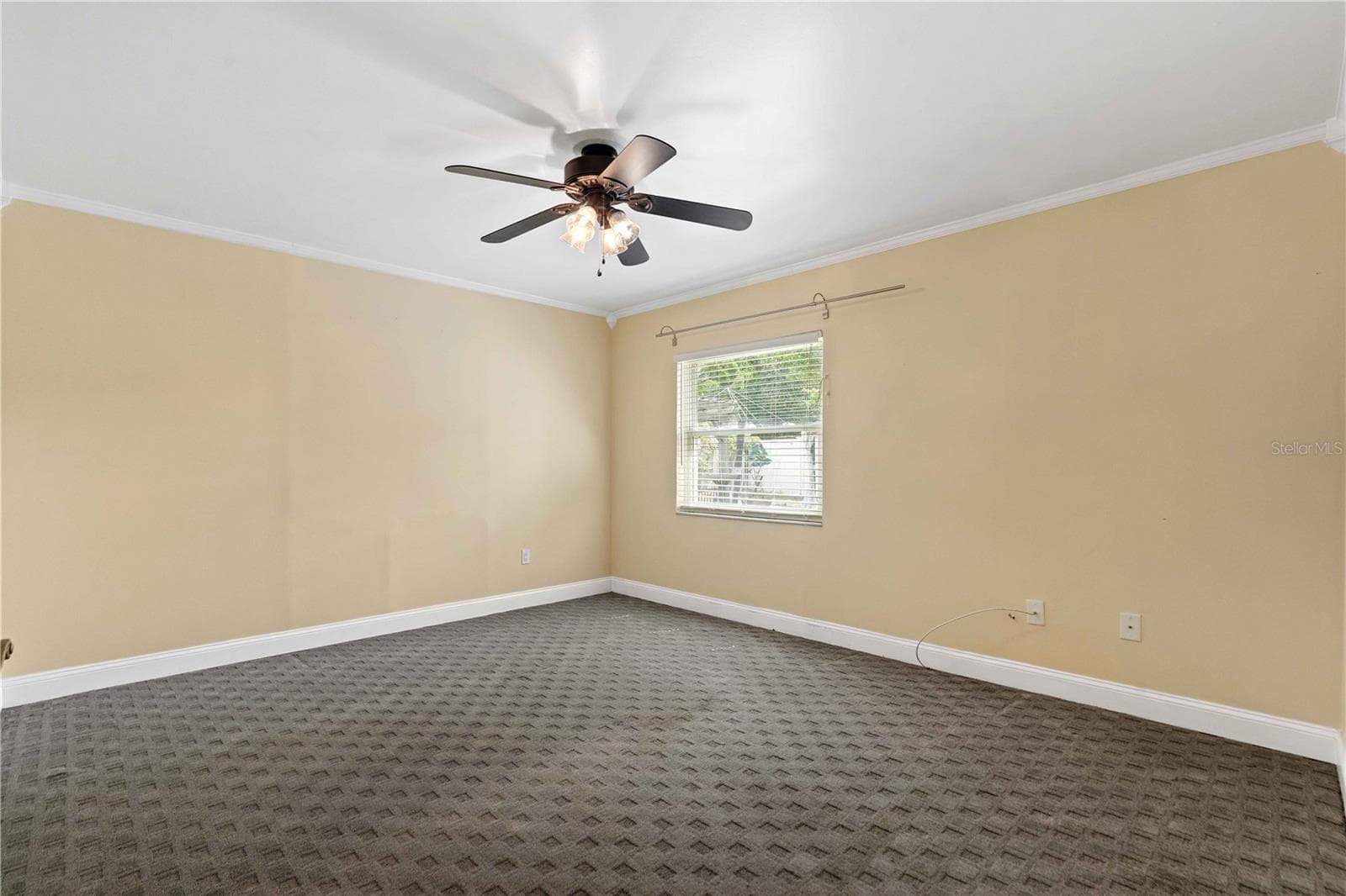 Single Family Residence at 6116 FLORIDA AVE, NEW PORT RICHEY, photo 12 of 26