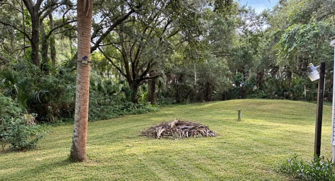 Manufactured Home at 11522 NORTH ST, GIBSONTON, photo 18 of 18