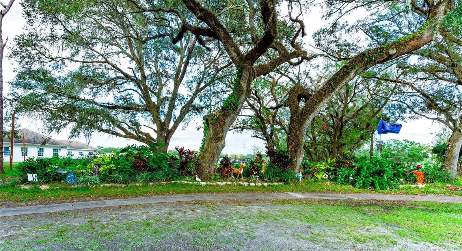 Many walking trails. - 5352 PLANT ST, ZEPHYRHILLS