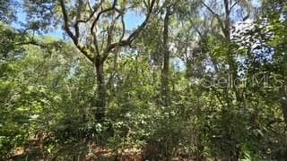 Land at 4284 CR 575, BUSHNELL, photo 3 of 3