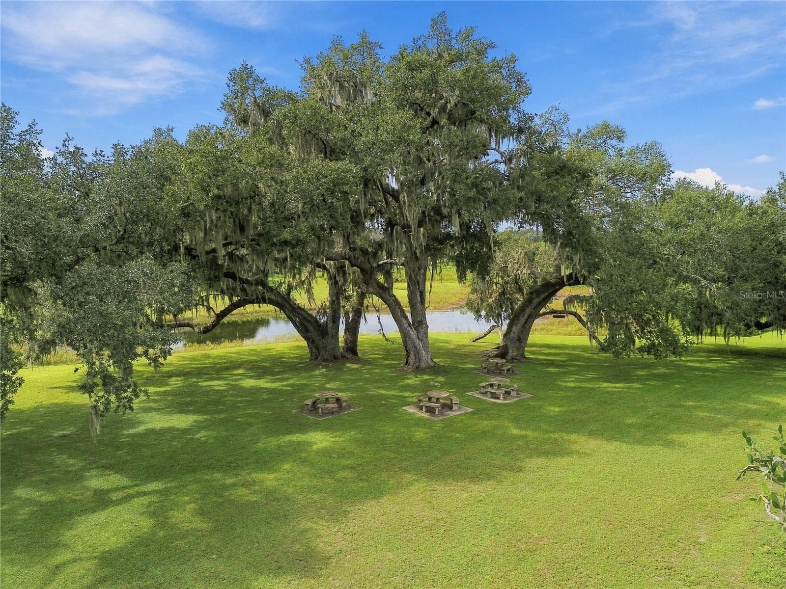 Scenic park common area - 8410 ANGELA CT, ZEPHYRHILLS
