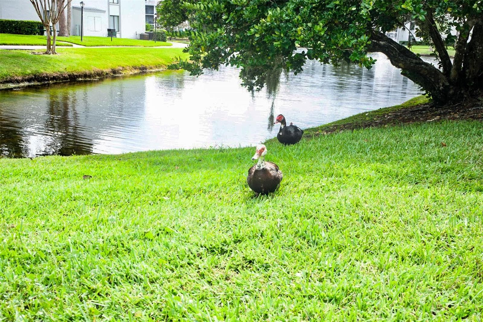 Condominium at 1228 S PINE RIDGE CIR #H2, SANFORD, photo 27 of 36