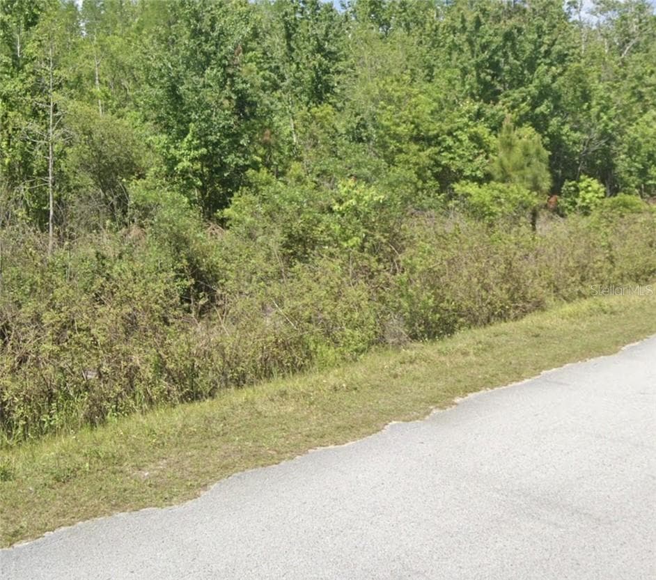 Land at TBD Oil Well RD, CLERMONT FL 34714, Clermont, photo 2 of 5