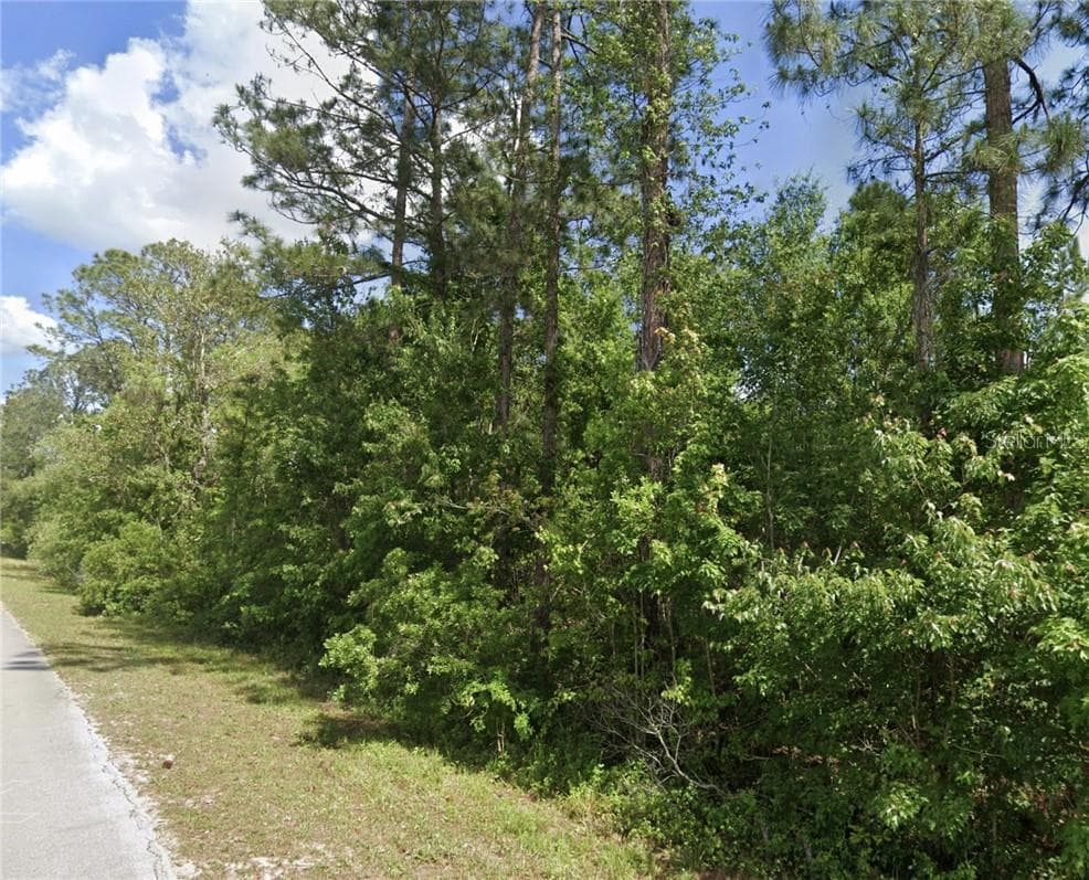 Land at TBD Oil Well RD, CLERMONT FL 34714, Clermont, photo 3 of 5