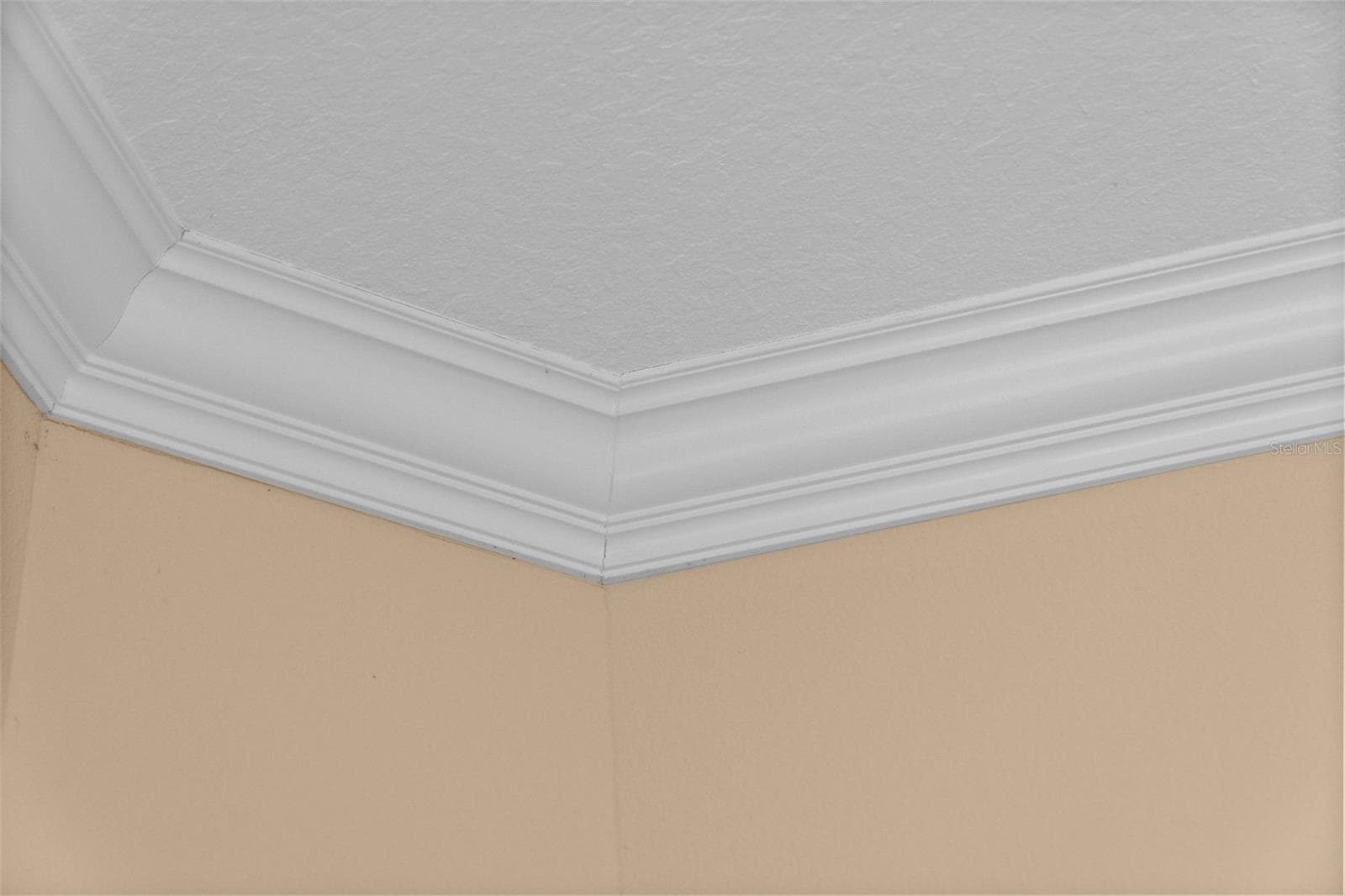 Beautiful crown molding highlights the high ceilings and attention to detail. - 8432 MIRAMAR WAY, LAKEWOOD RANCH