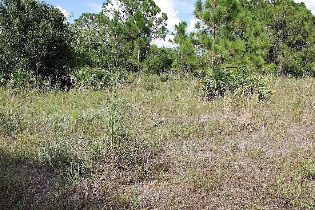 Land at 4114 56TH AVE NE, NAPLES, photo 3 of 17