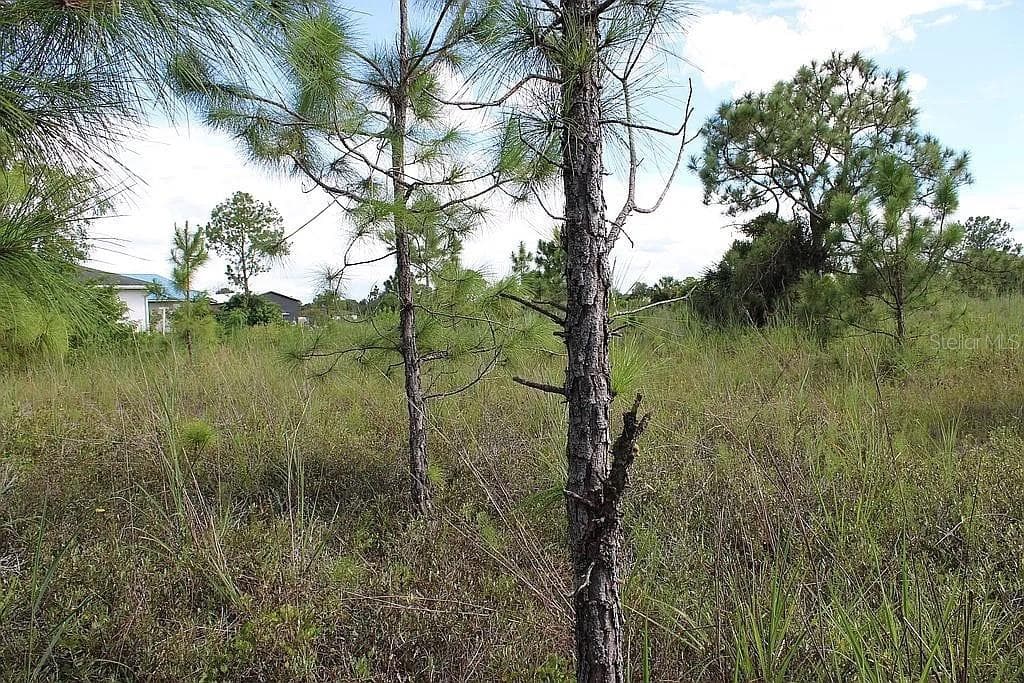 Land at 4114 56TH AVE NE, NAPLES, photo 7 of 17