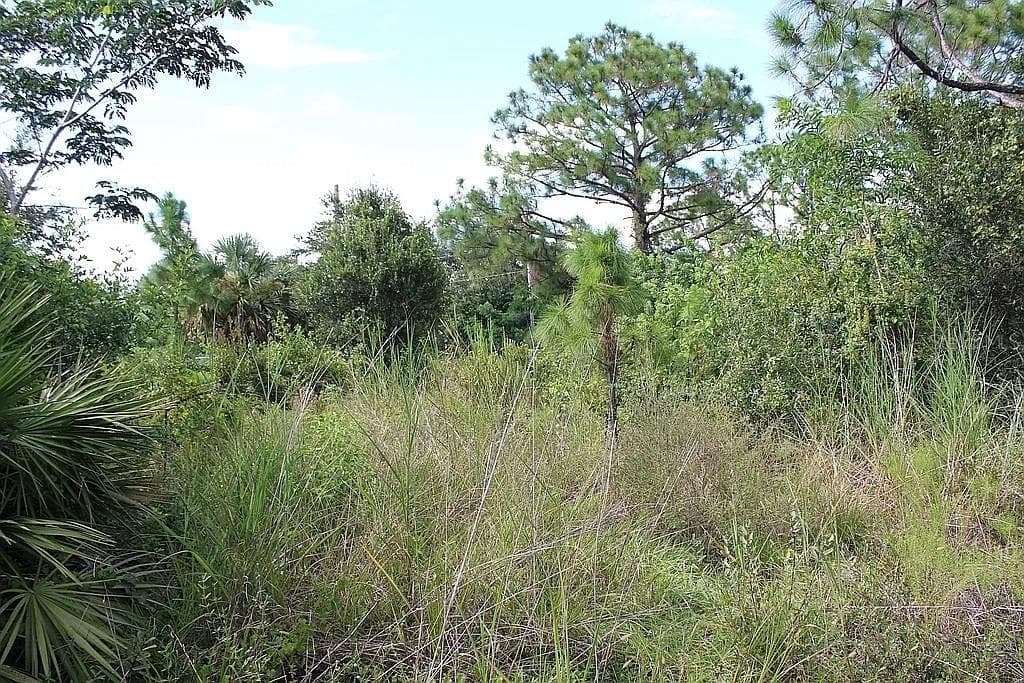 Land at 4114 56TH AVE NE, NAPLES, photo 8 of 17