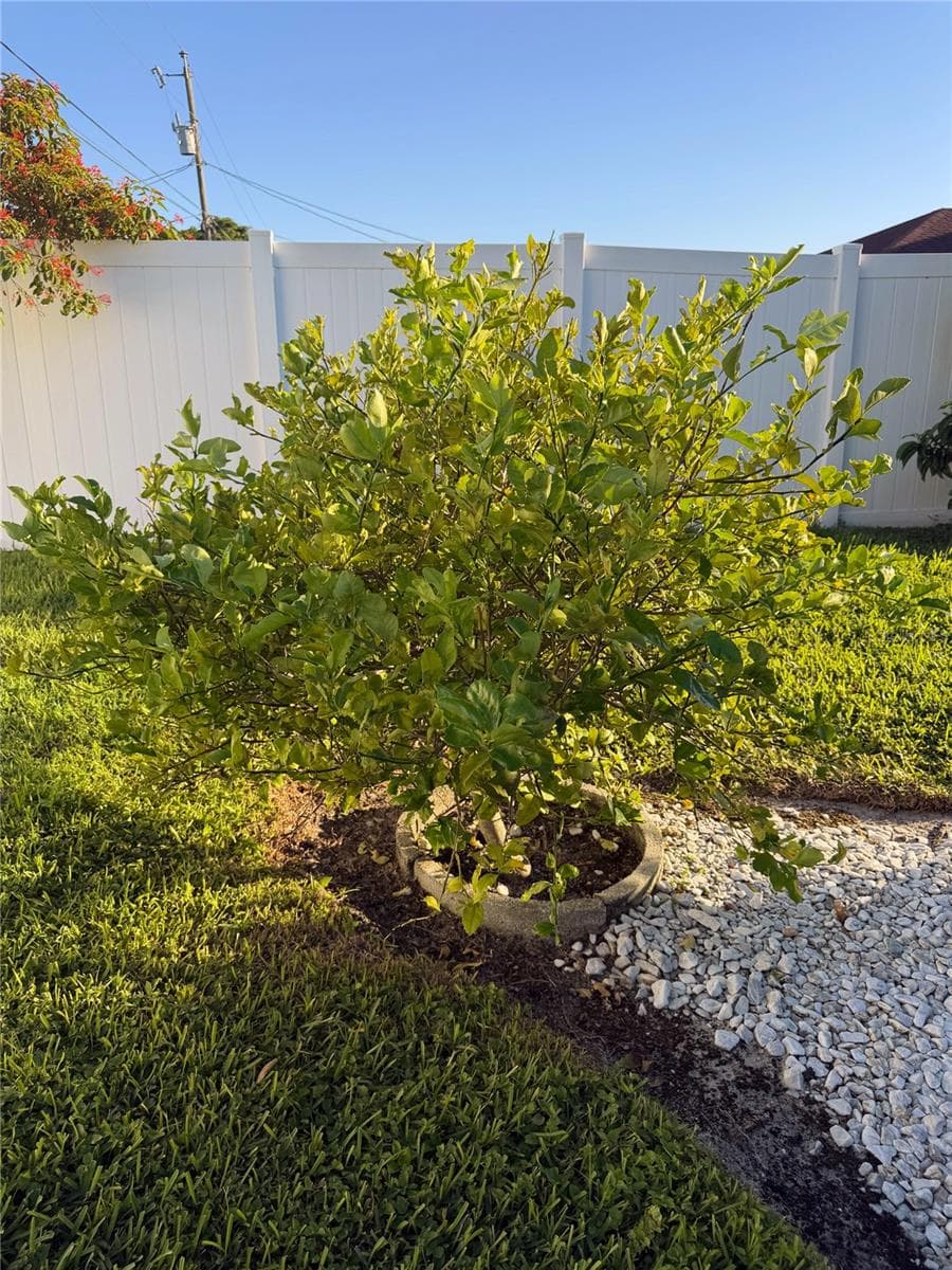 Single Family Residence at 1943 SE 8TH PL, CAPE CORAL, photo 32 of 51