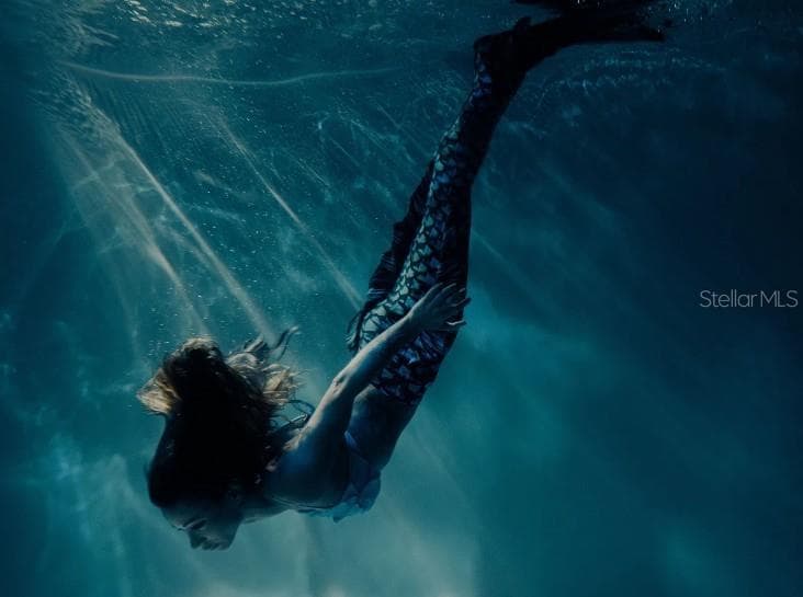 Catch the infamous mermaid show. - 13250 SNOWY PLOVER AVE, WEEKI WACHEE