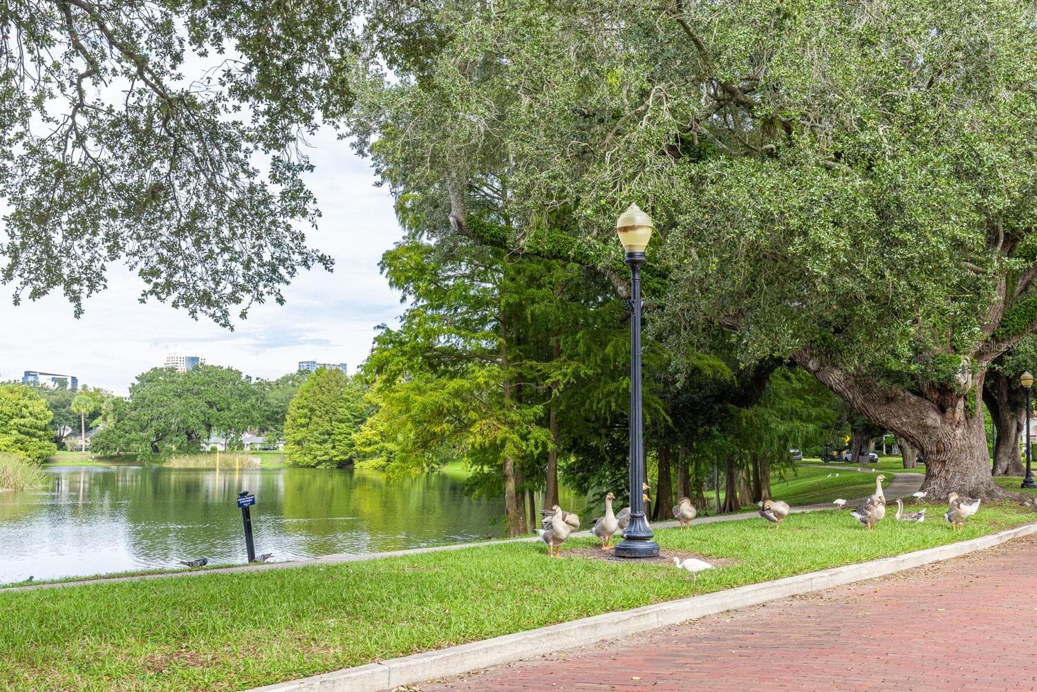 Single Family Residence at 1002 DELANEY PARK DR, ORLANDO, photo 50 of 54