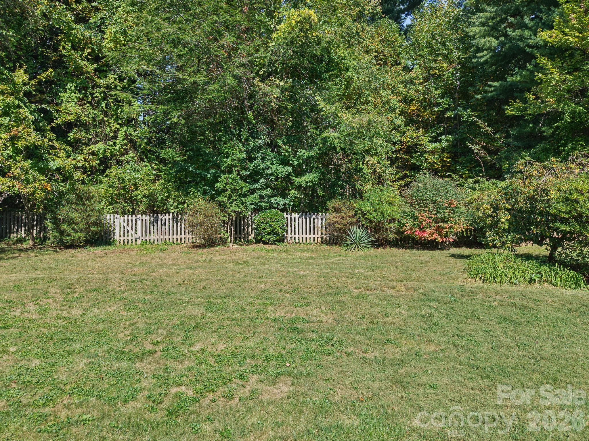 Backyard - 109 Yardley Court, Hendersonville