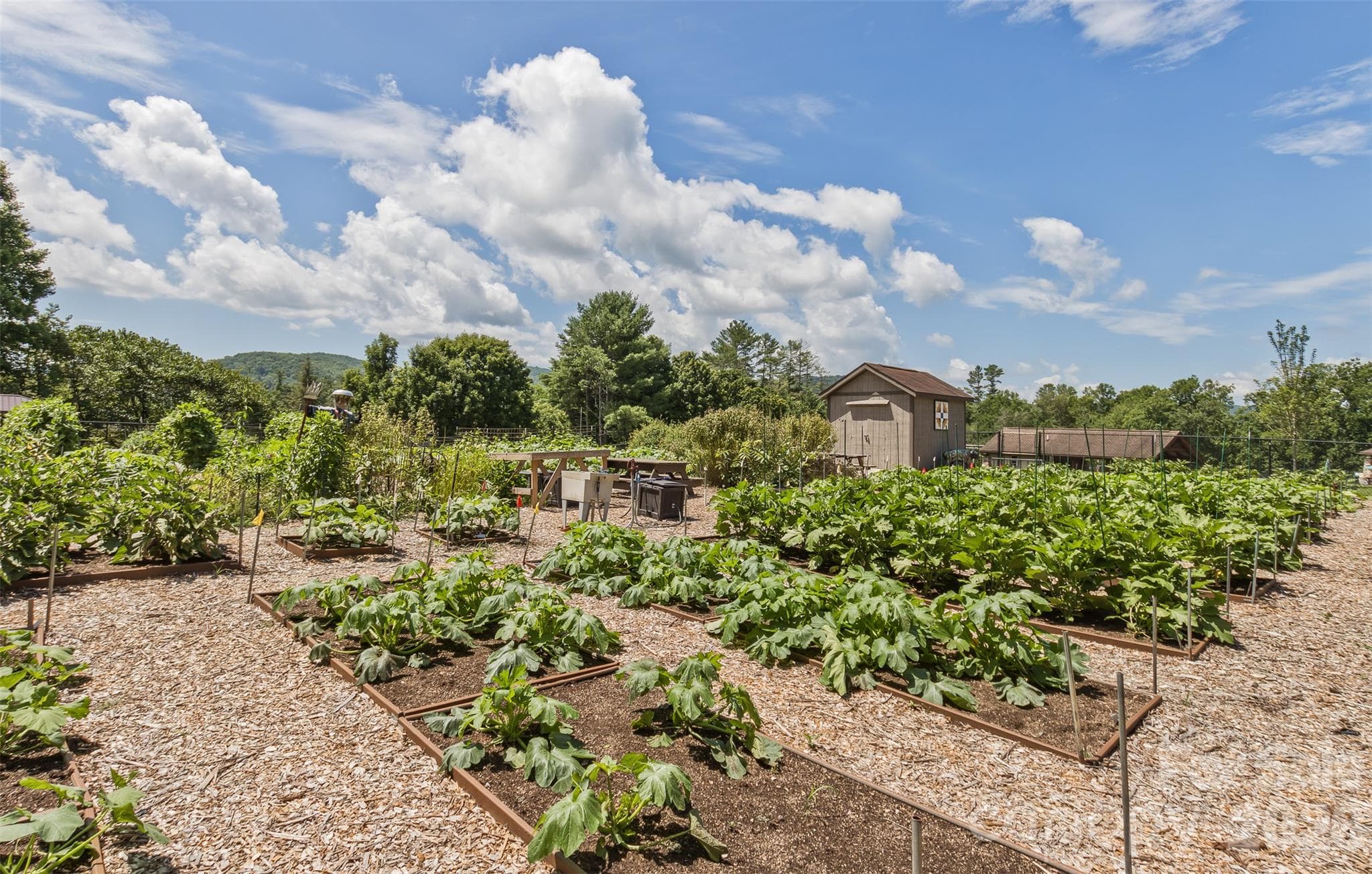 Garden - 148 Triple Fairways Drive, Hendersonville