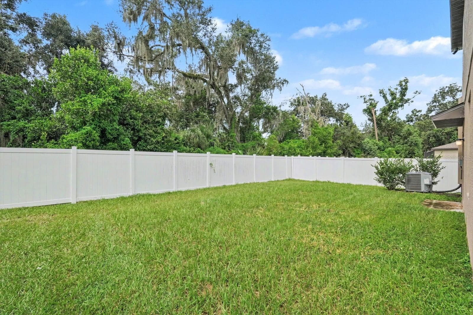 Large Yard - 6259 BACK FORTY LOOP, ZEPHYRHILLS