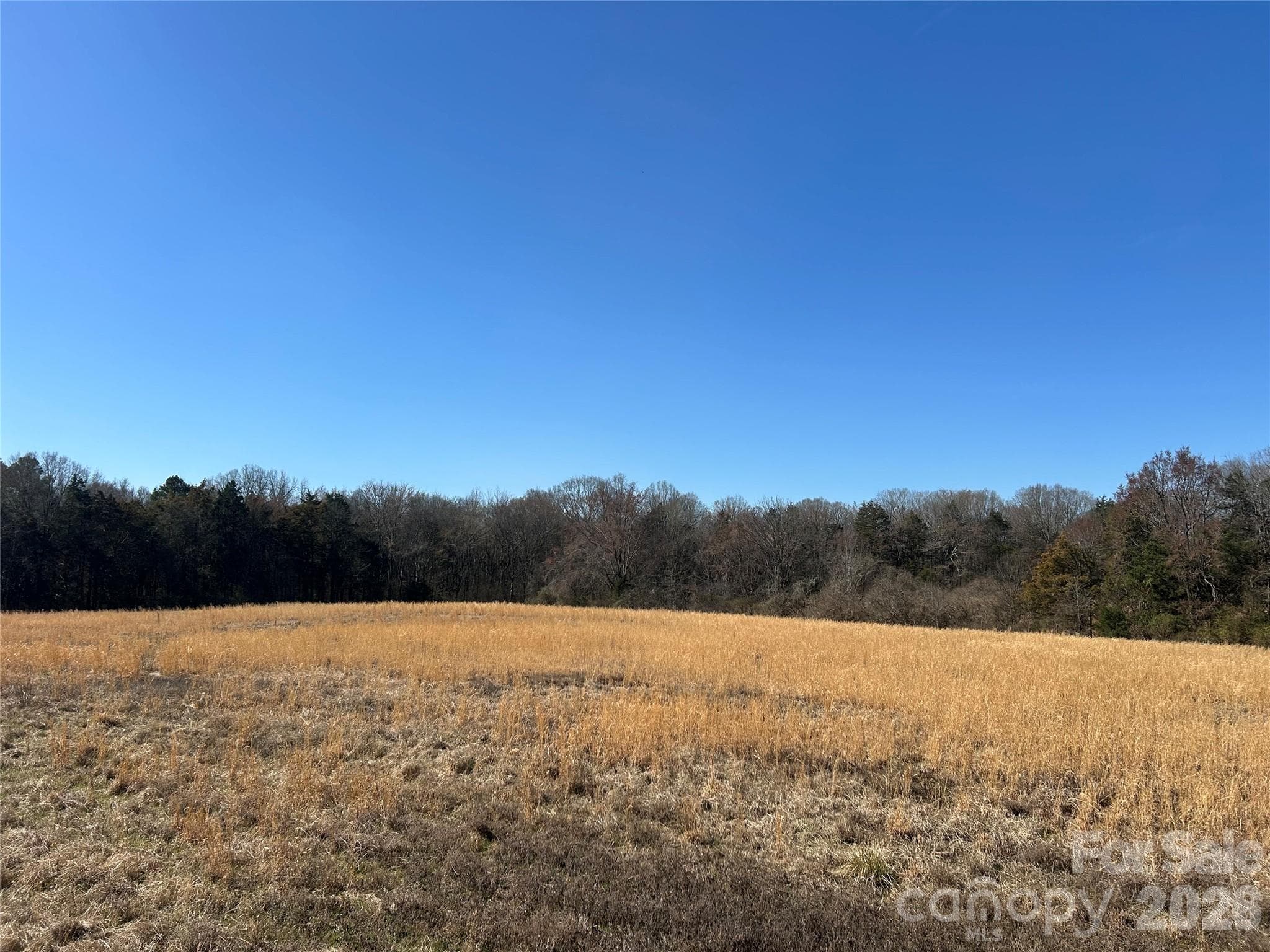 Acreage at Rock Hill, photo 2 of 90