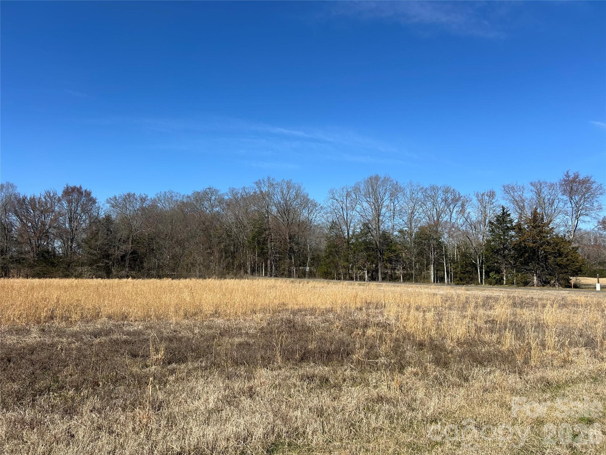 Acreage at Rock Hill, photo 6 of 90