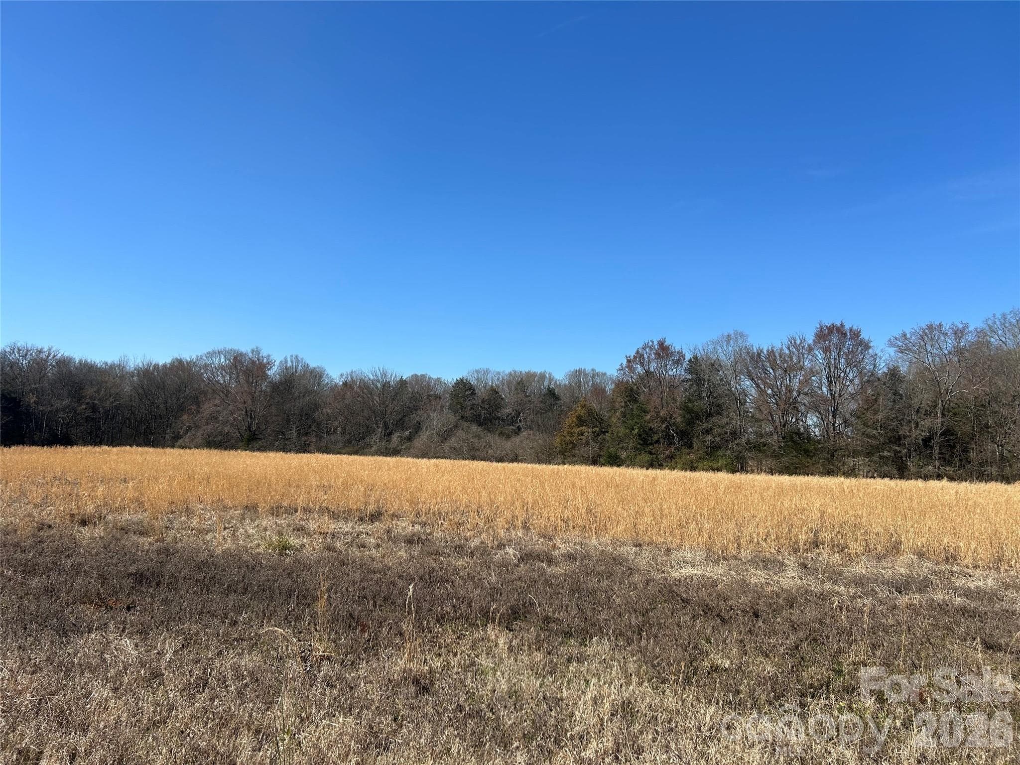 Acreage at Rock Hill, photo 12 of 90