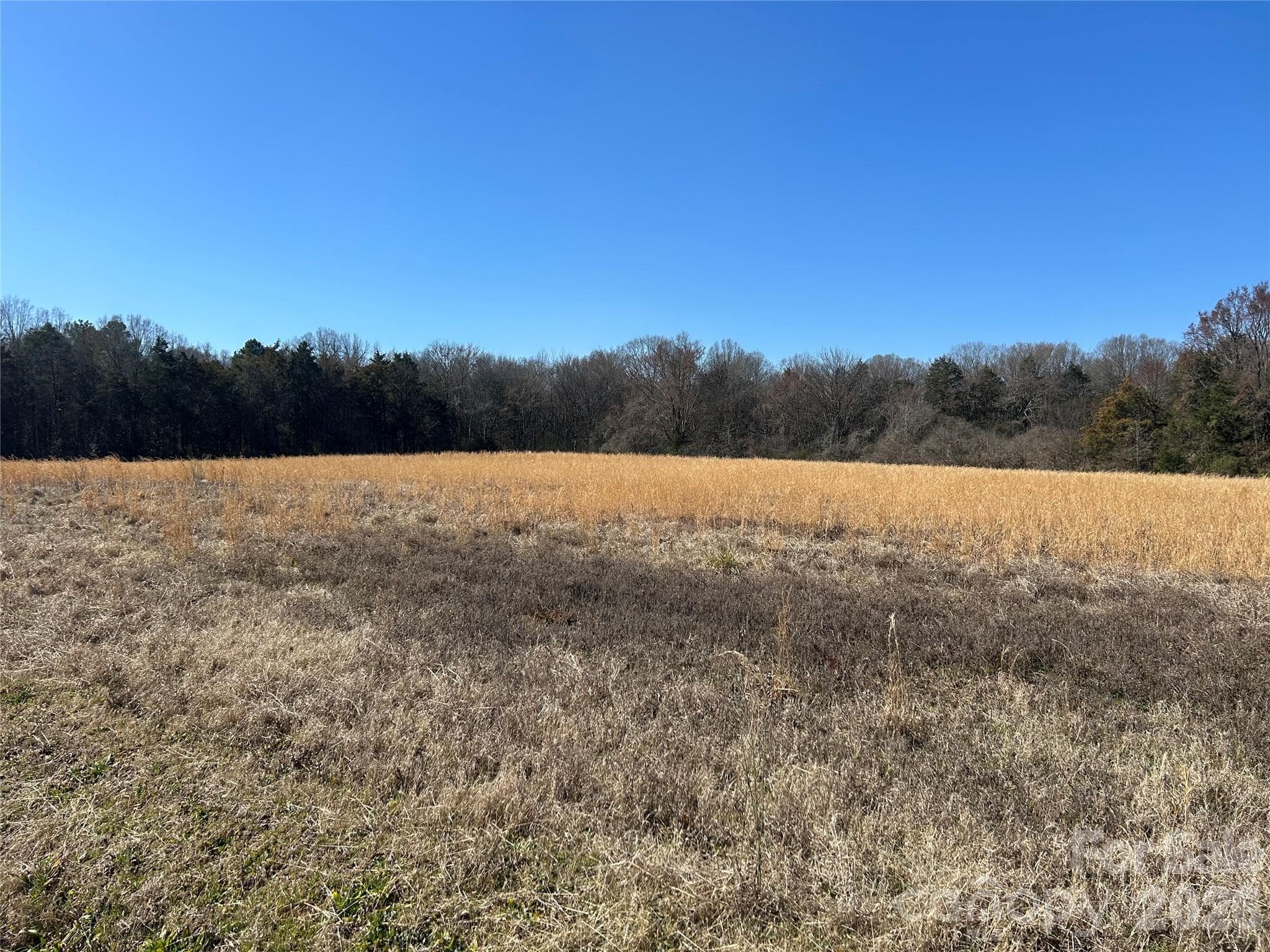 Acreage at Rock Hill, photo 14 of 90