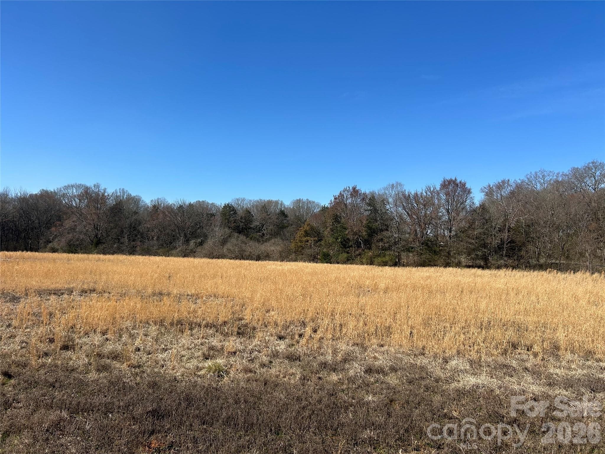 Acreage at Rock Hill, photo 18 of 90